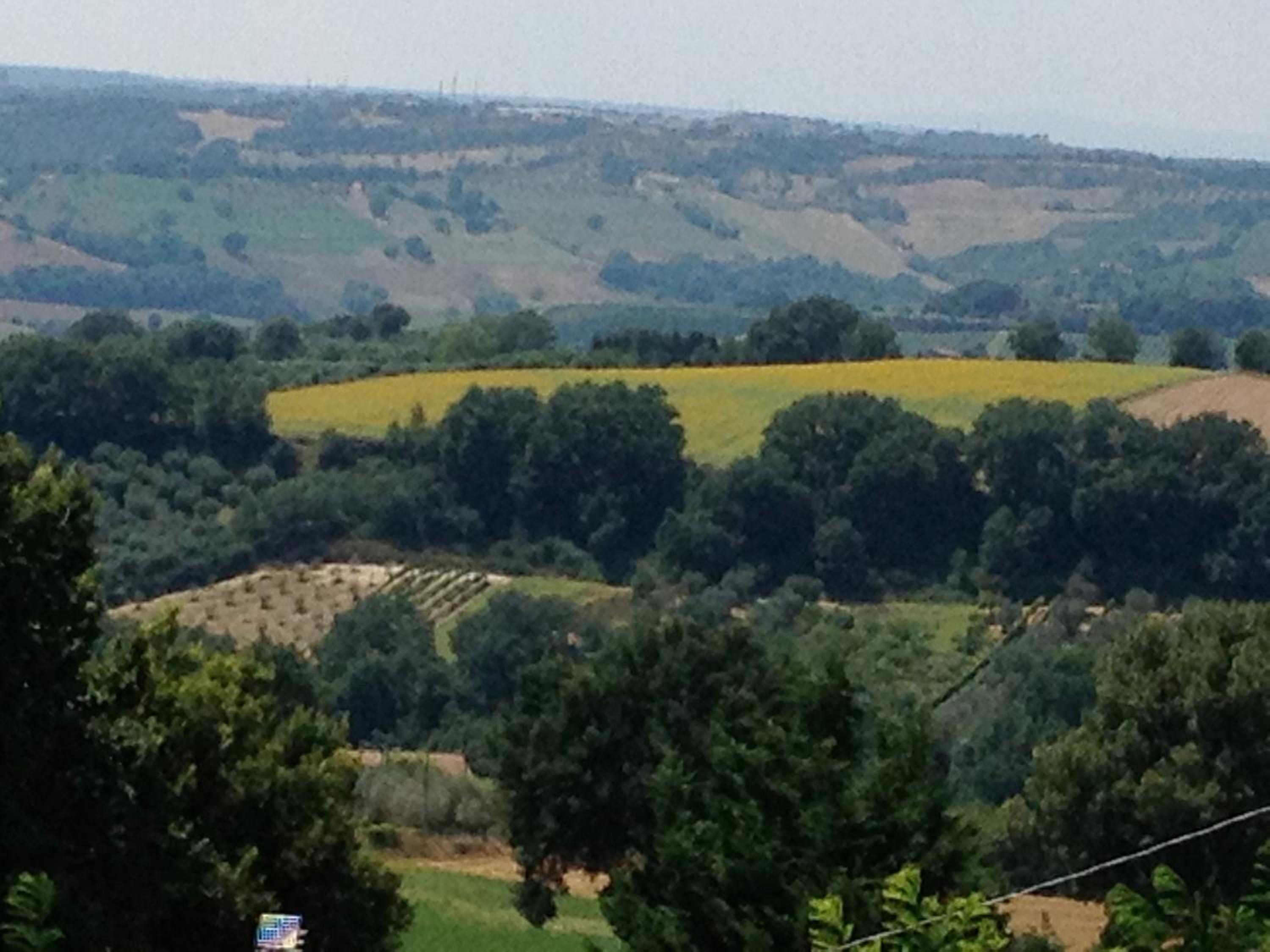 Tenuta San Savino delle Rocchette