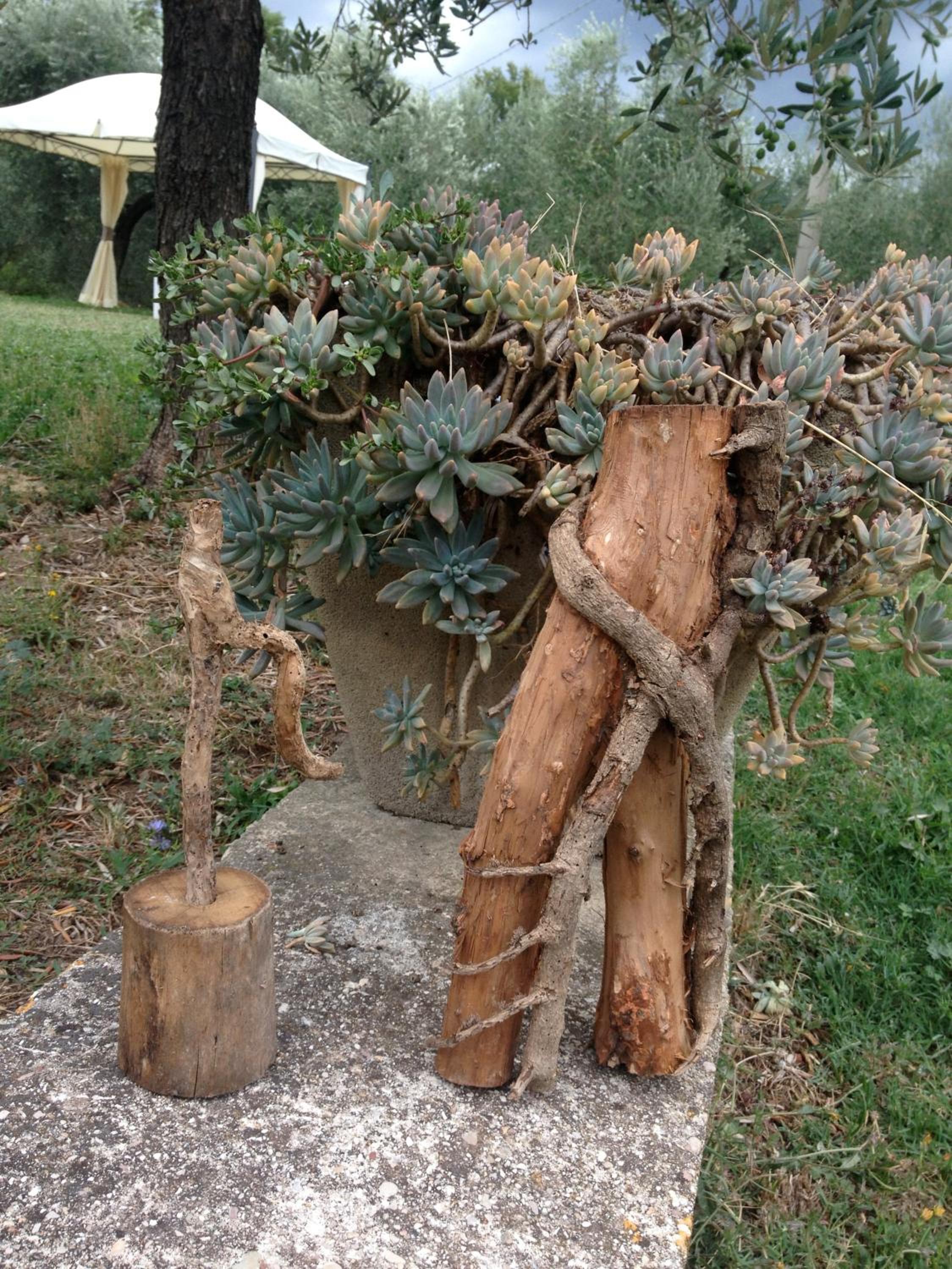 Tenuta San Savino delle Rocchette