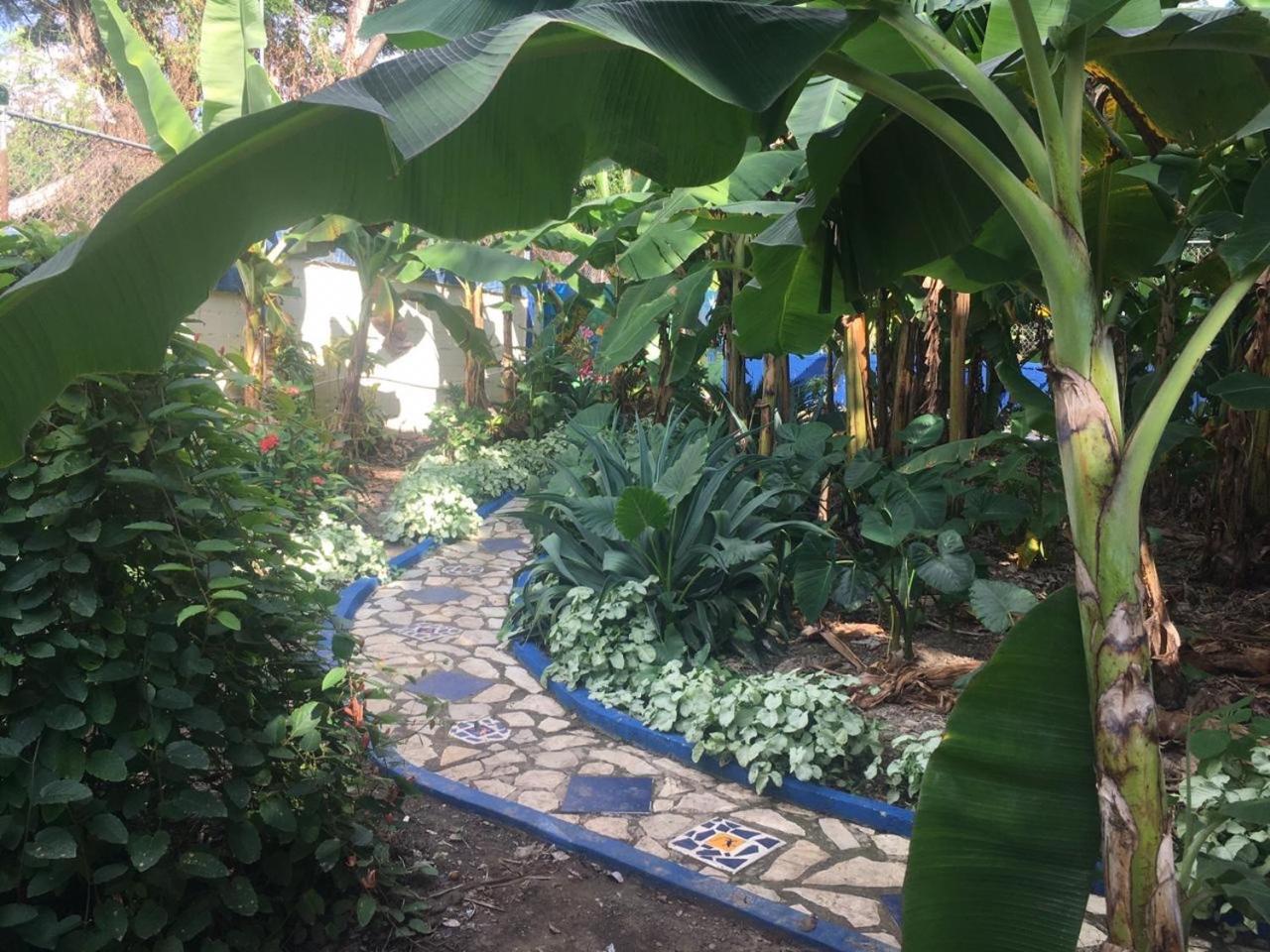 Sana El Jardin Secreto