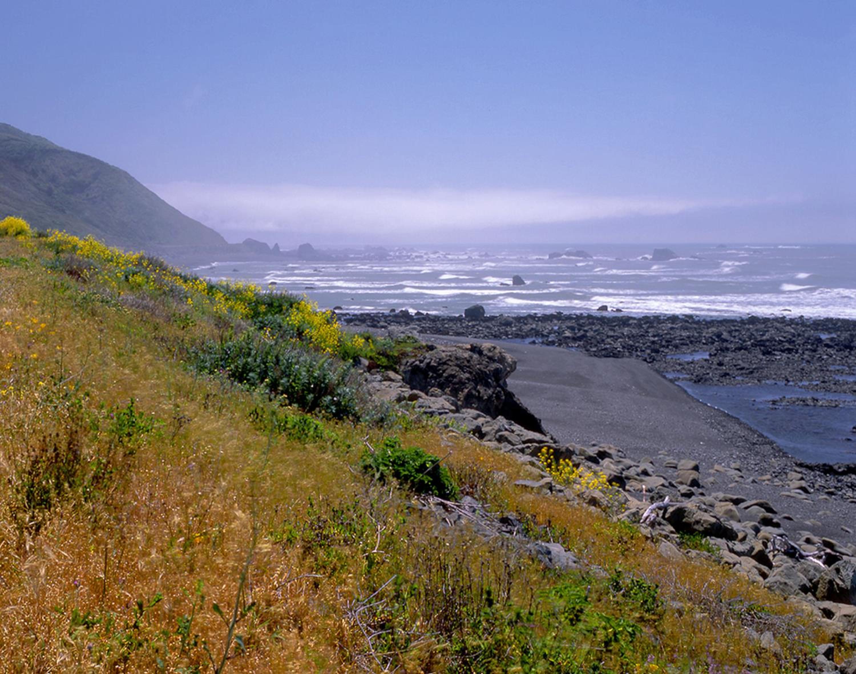 Redwood Suites