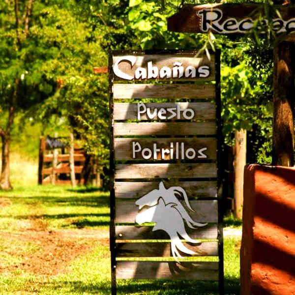 Puesto Potrillos