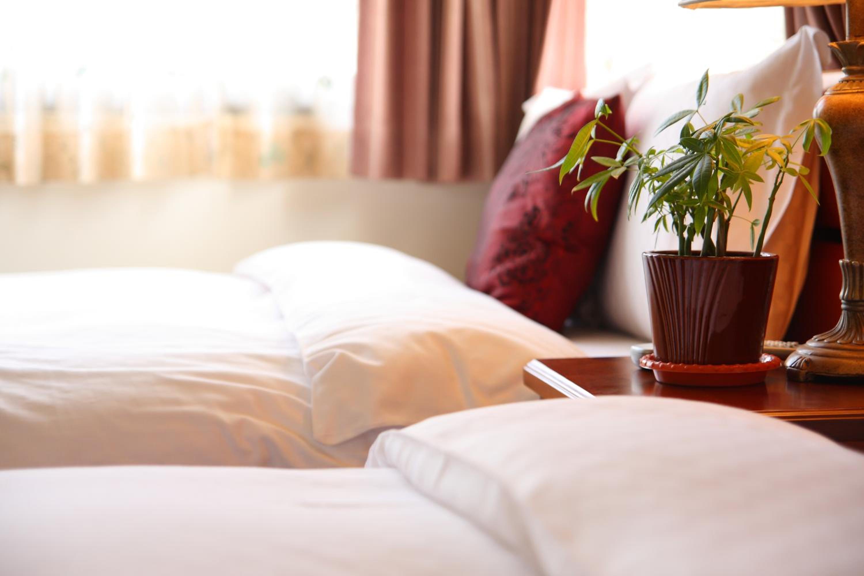 Jimei Homestay