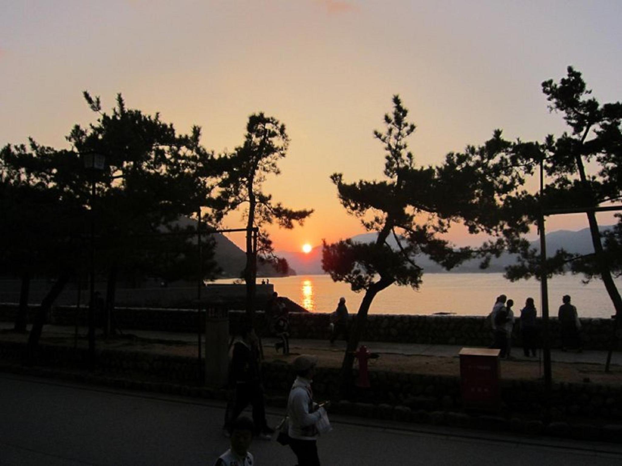 Sakuraya