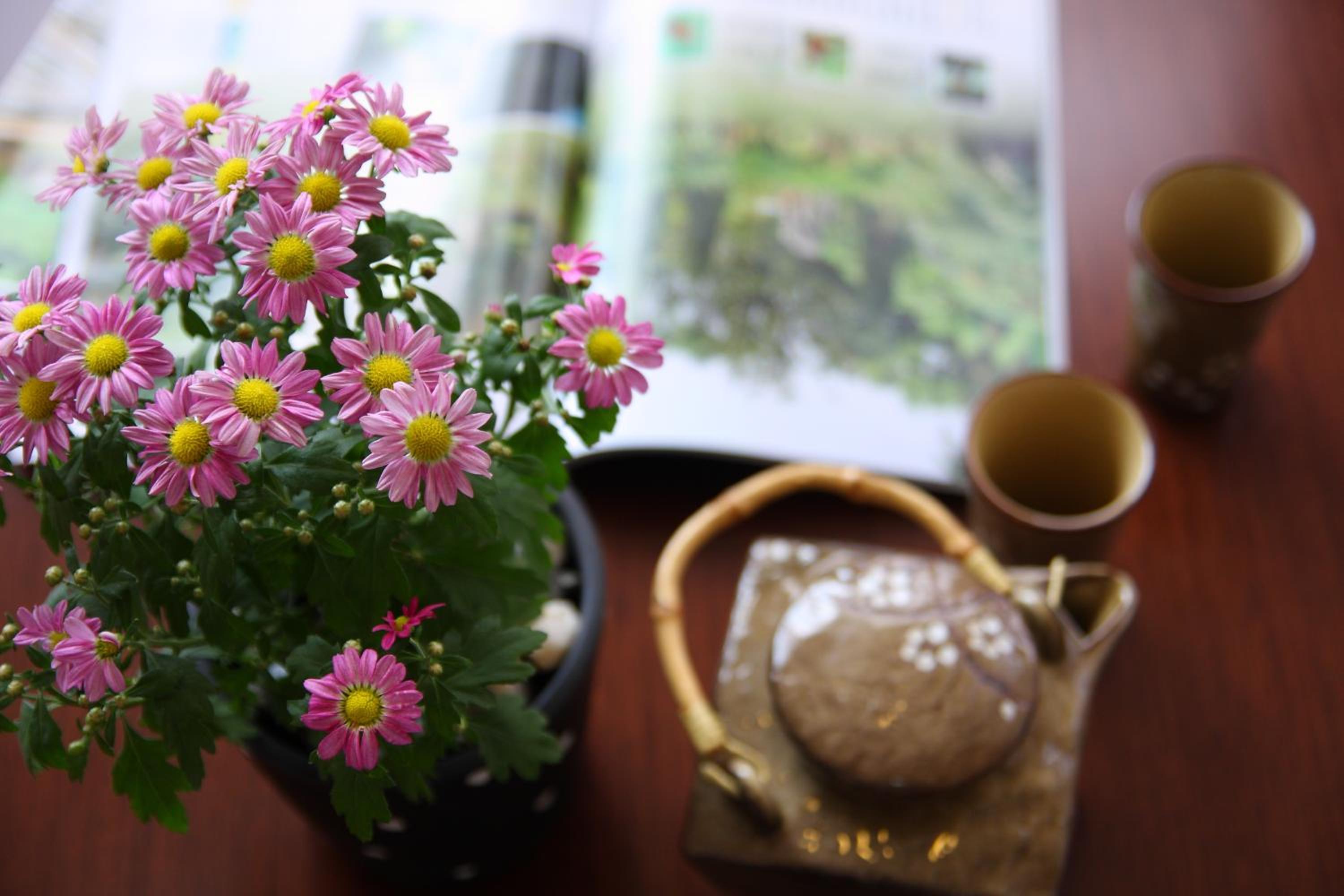 Jimei Homestay