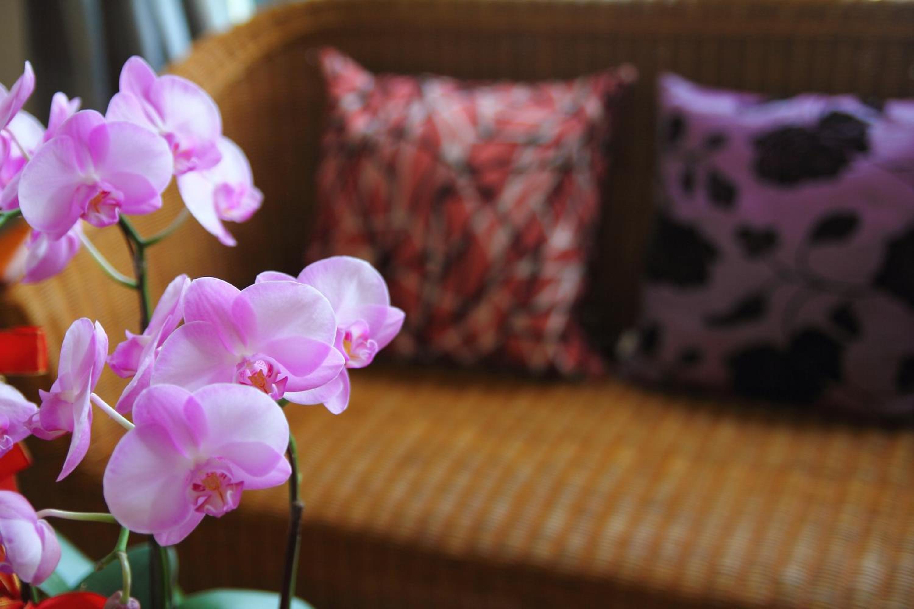 Jimei Homestay