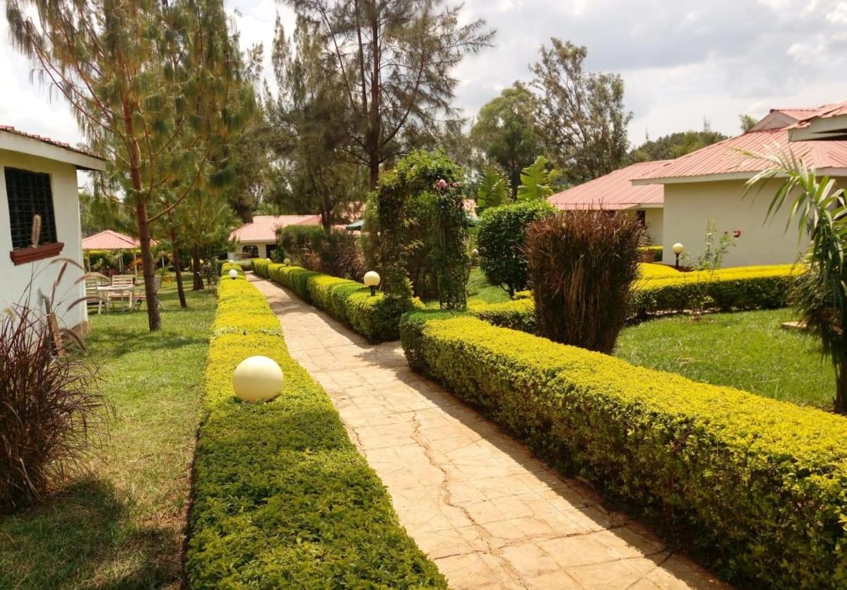Jabali Country Lodge