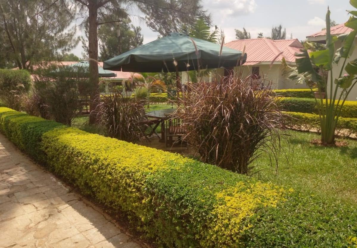 Jabali Country Lodge