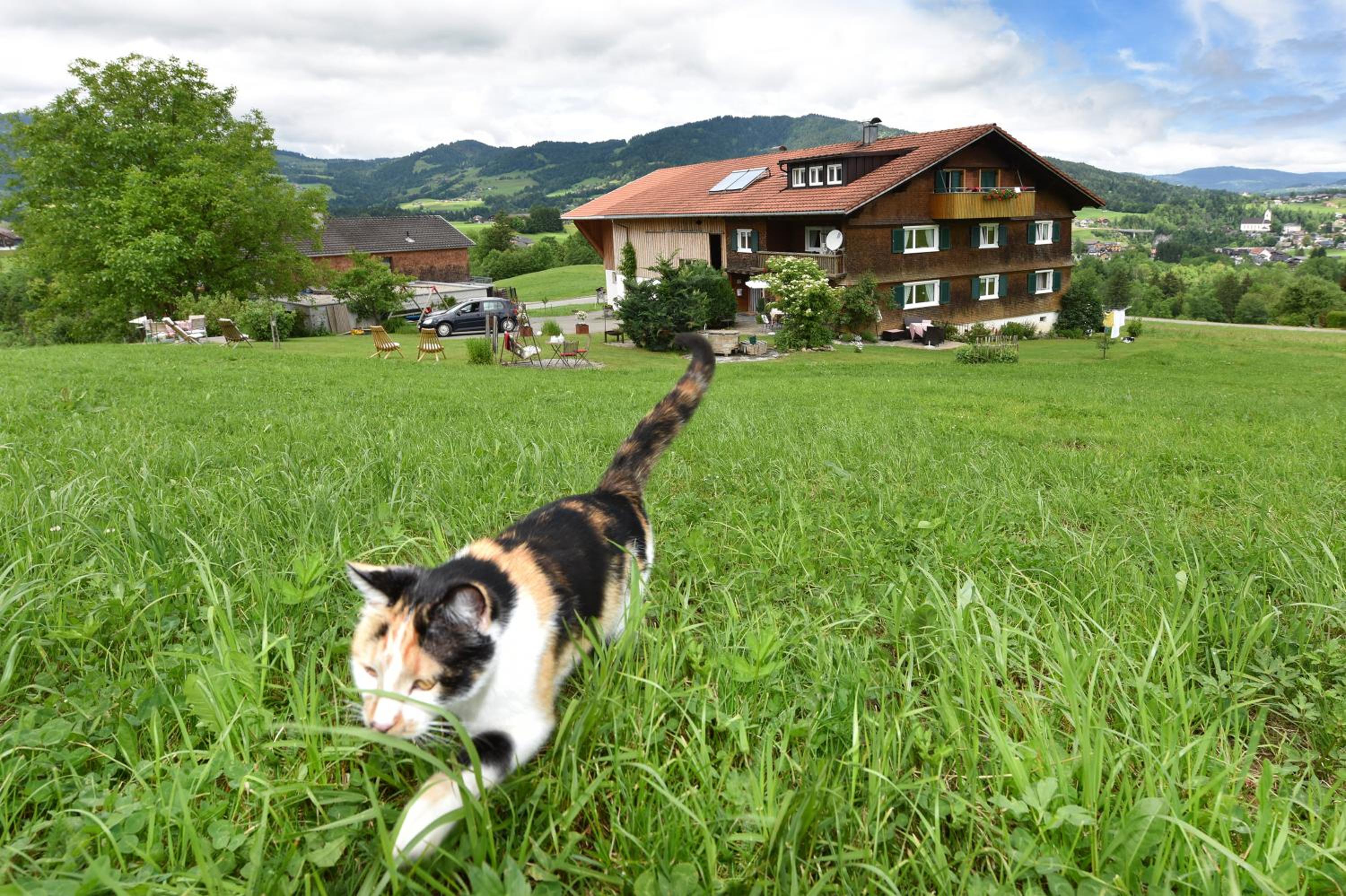 Familienbauernhof Köss Schertler