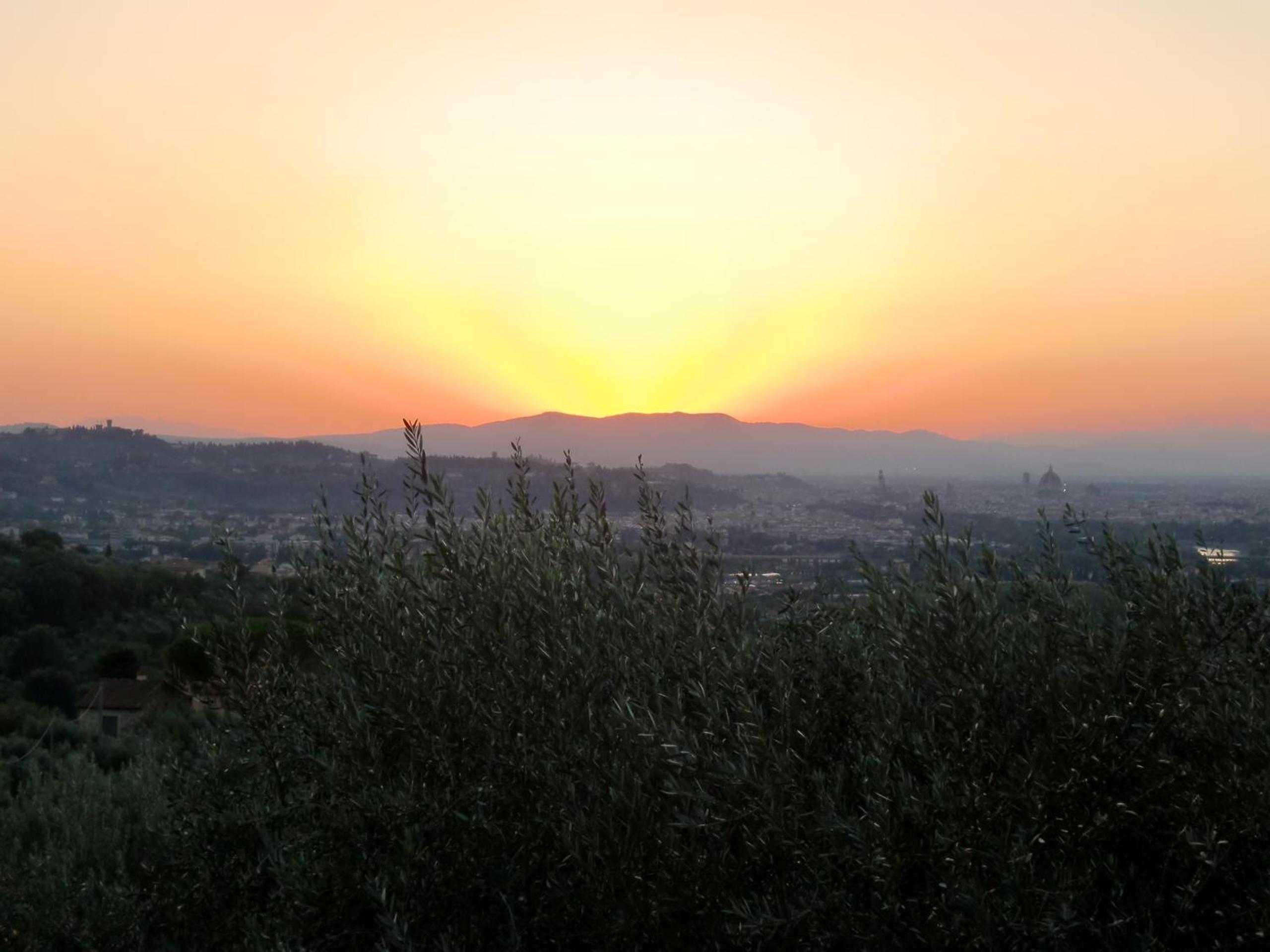Il Palagetto