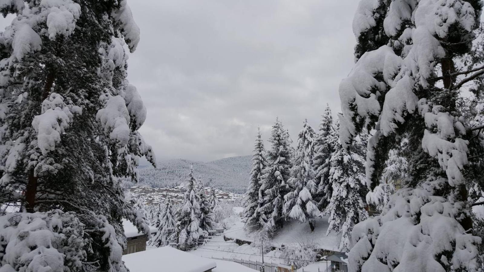 Photo 21