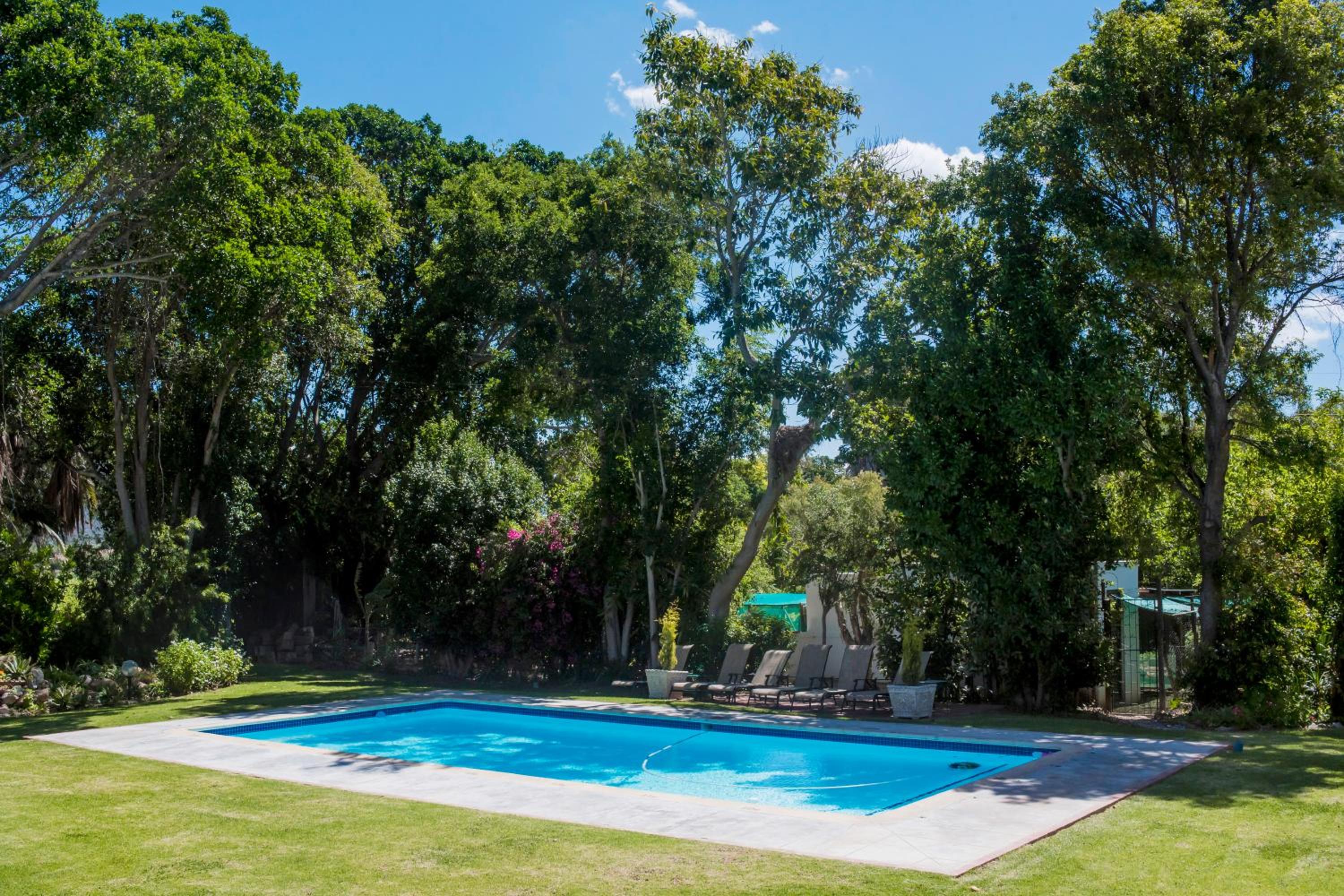Green Olive Guesthouse
