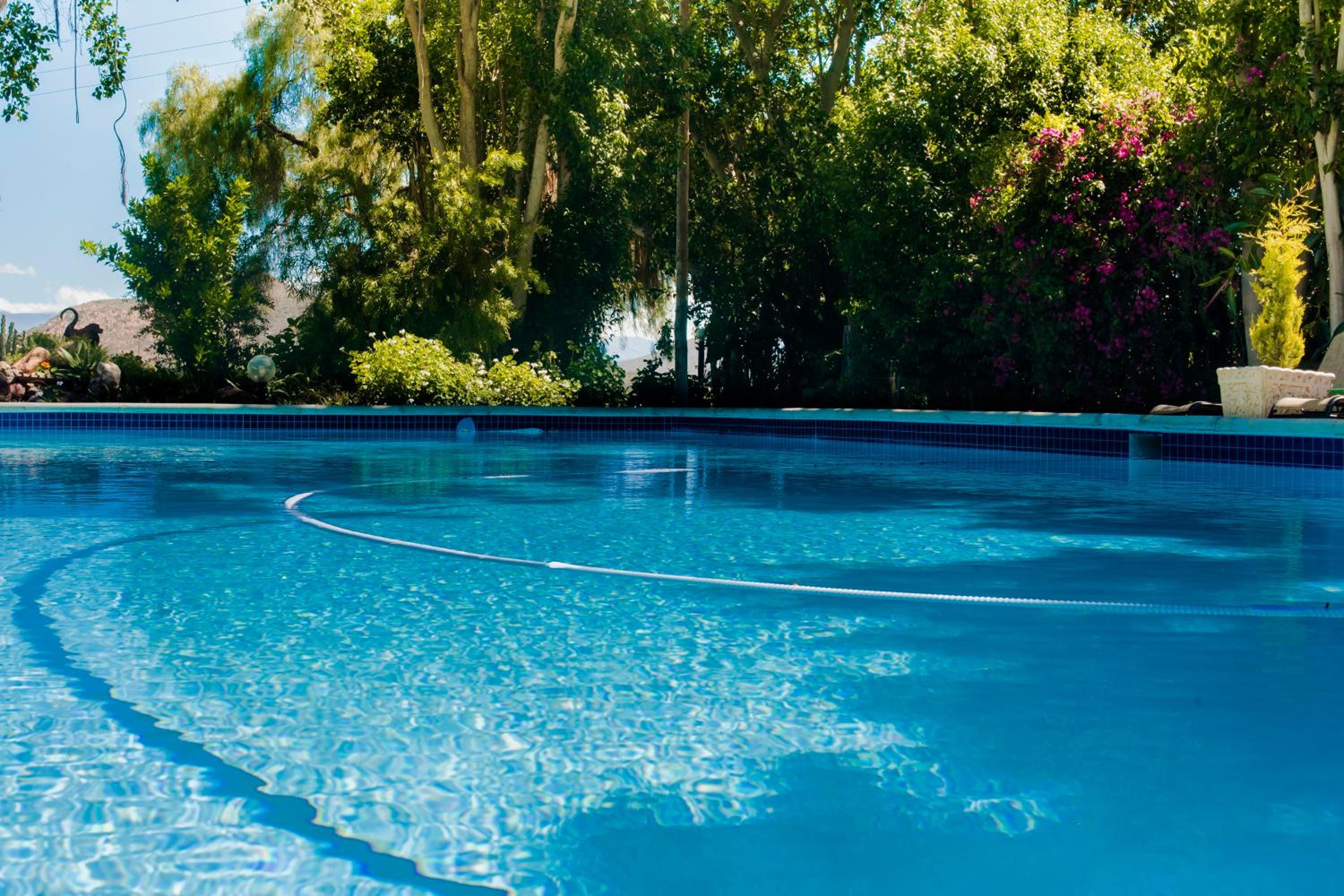 Green Olive Guesthouse