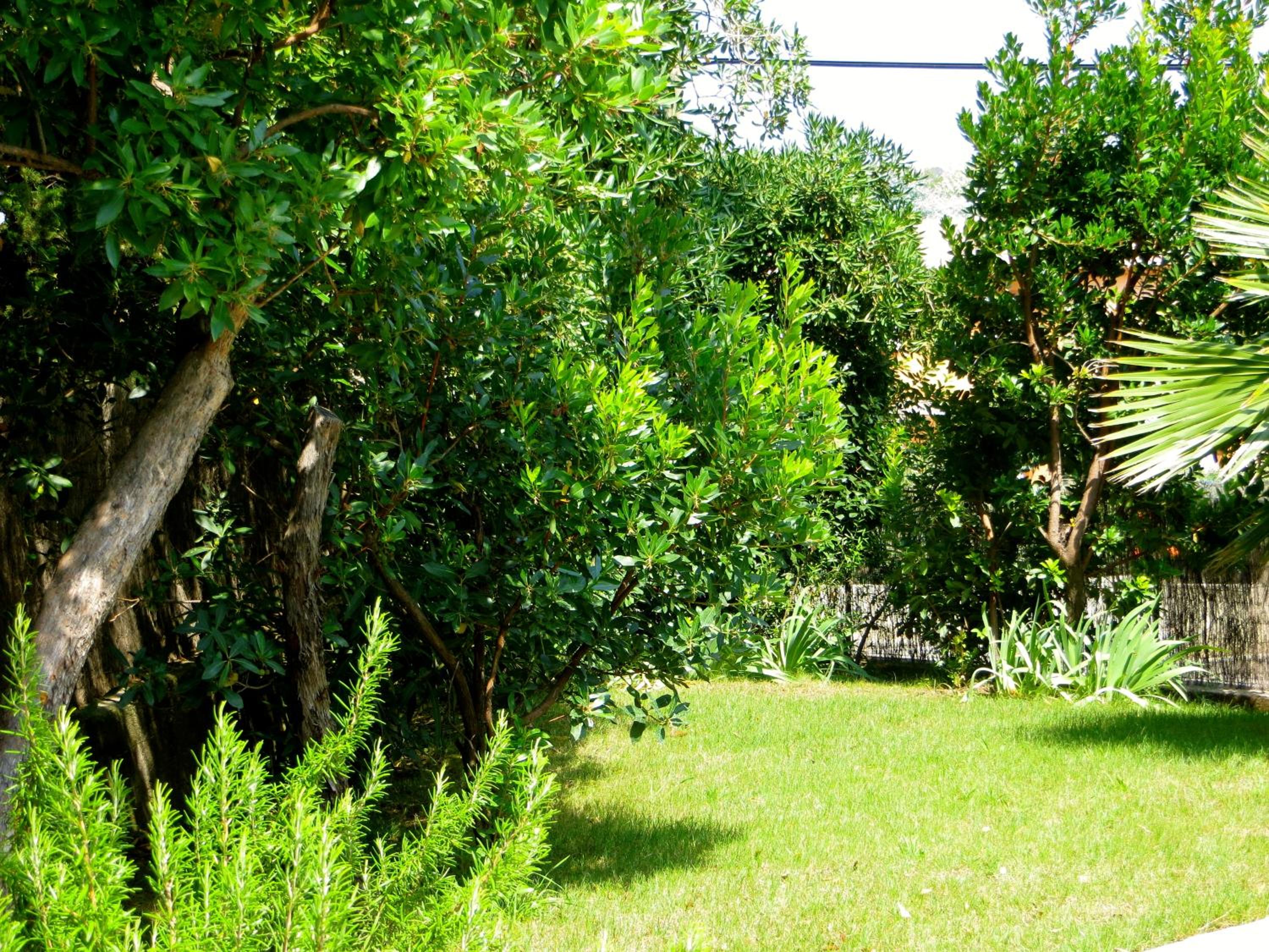 Photo 40