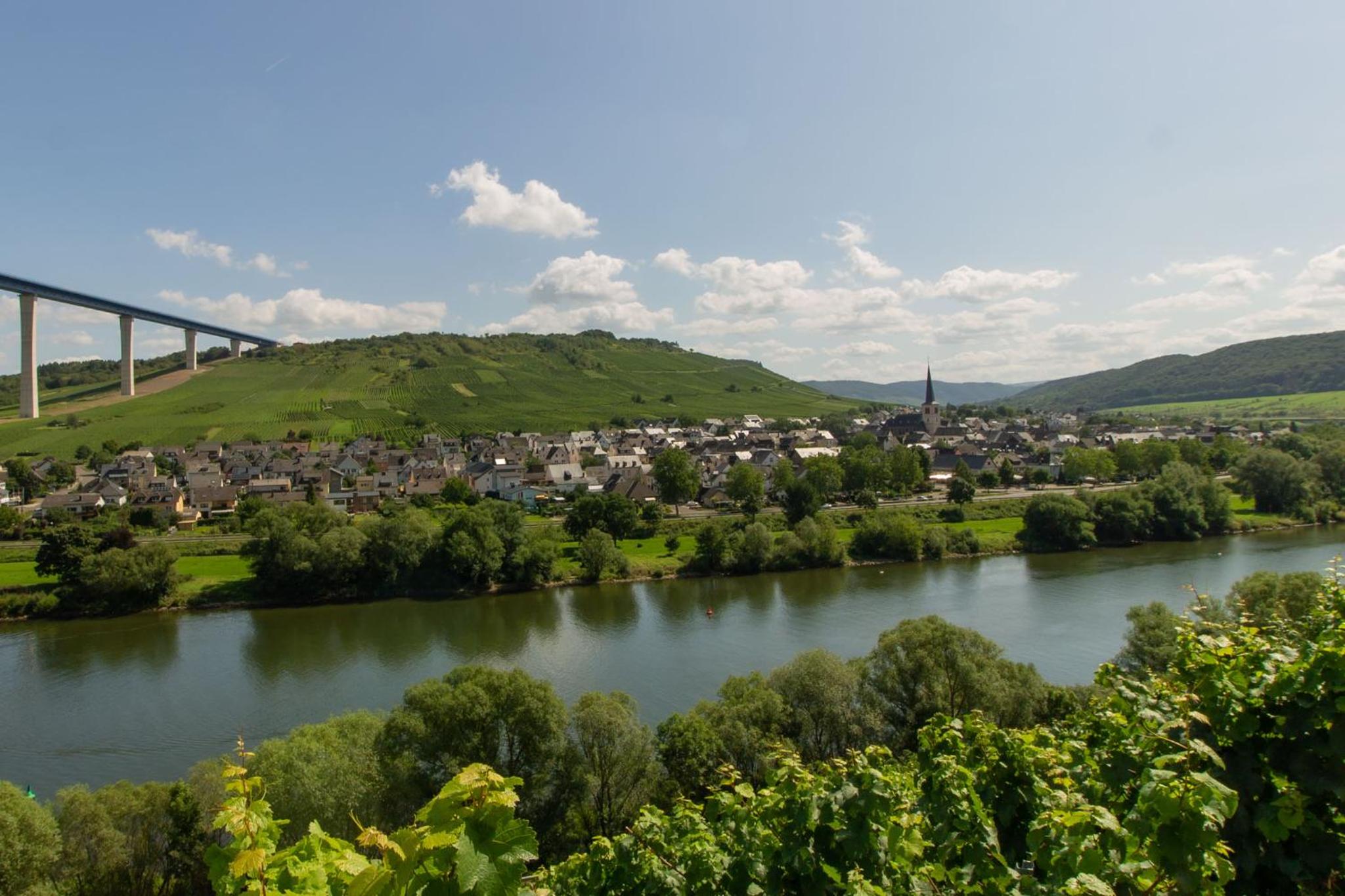 Photo 38