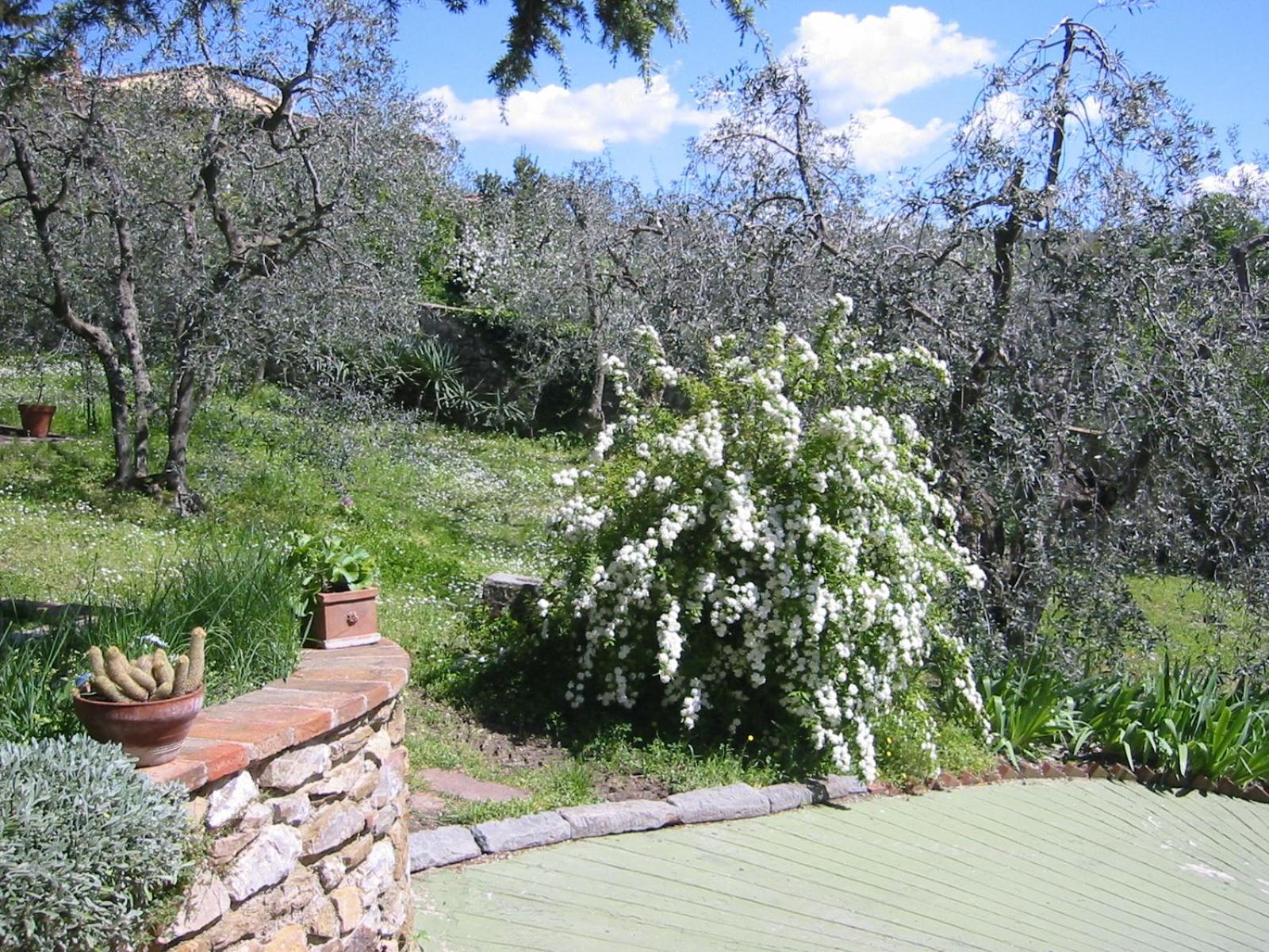 Photo 27