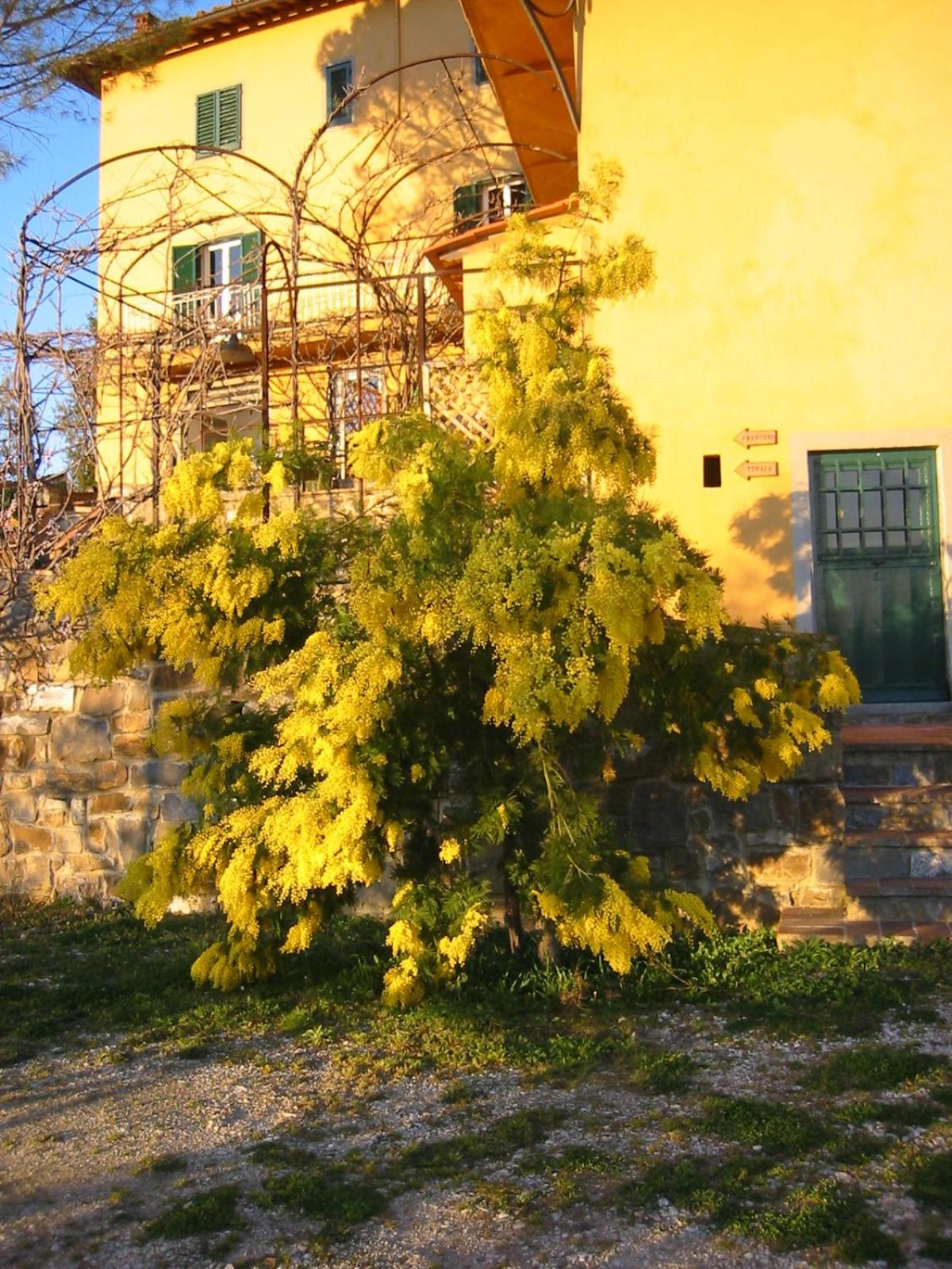 Photo 29