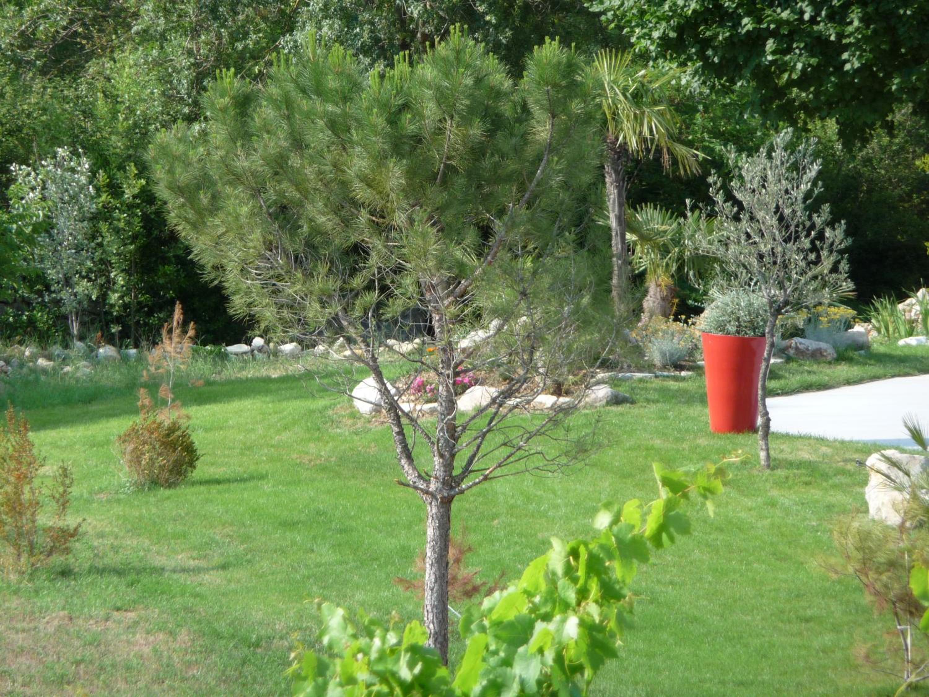 Domaine de Rochebelle