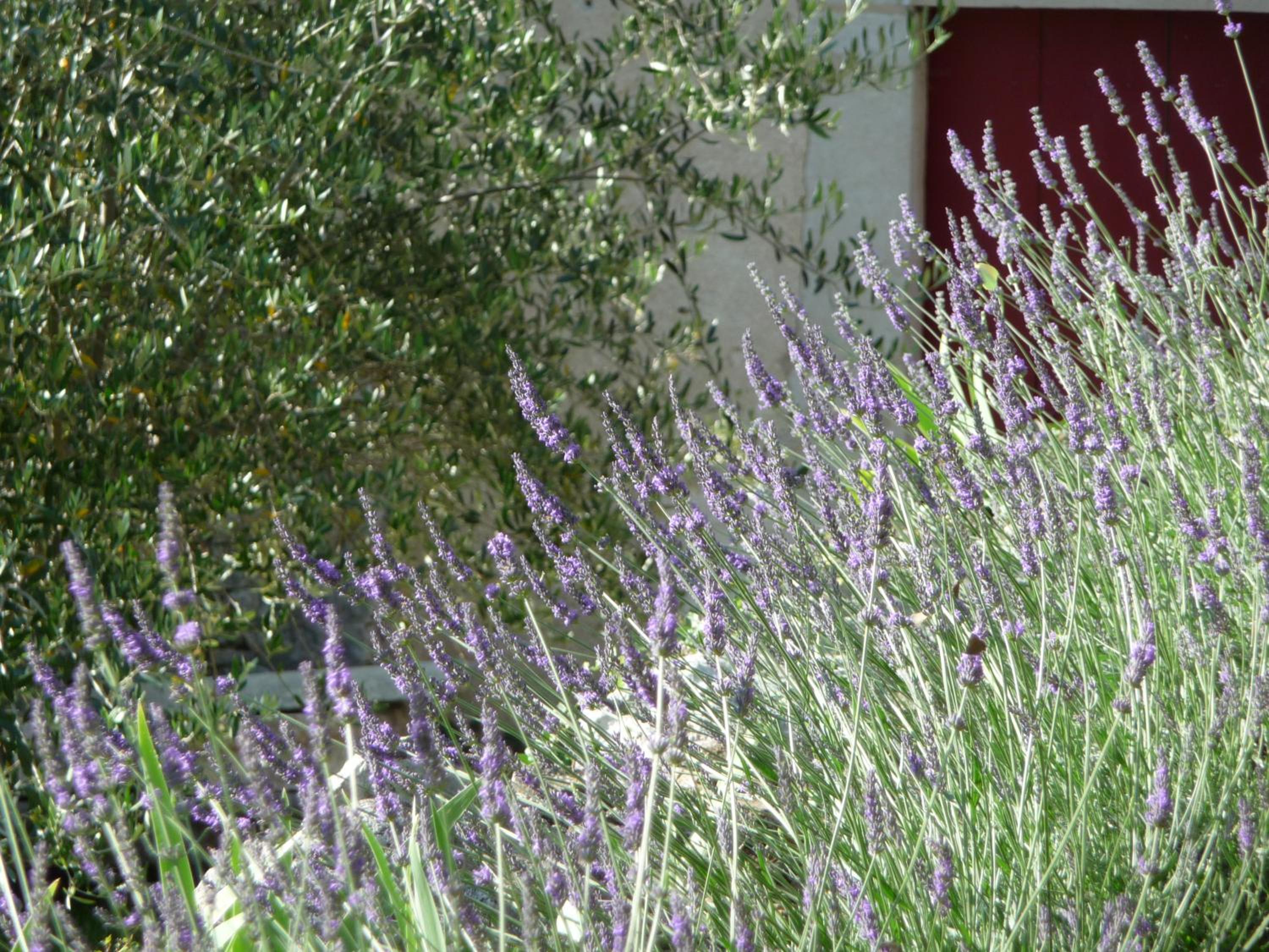 Domaine de Rochebelle
