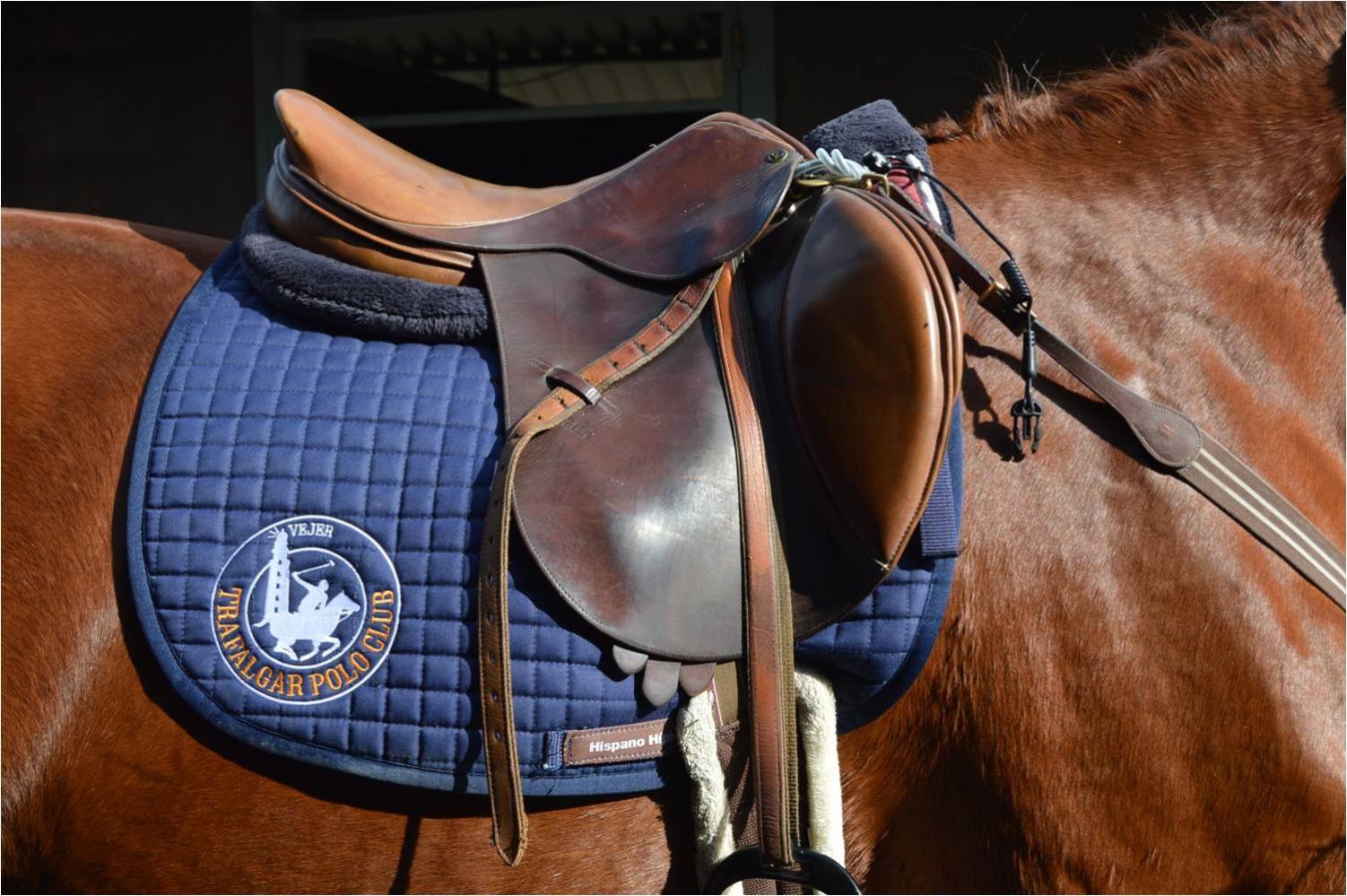 Trafalgar Polo Club