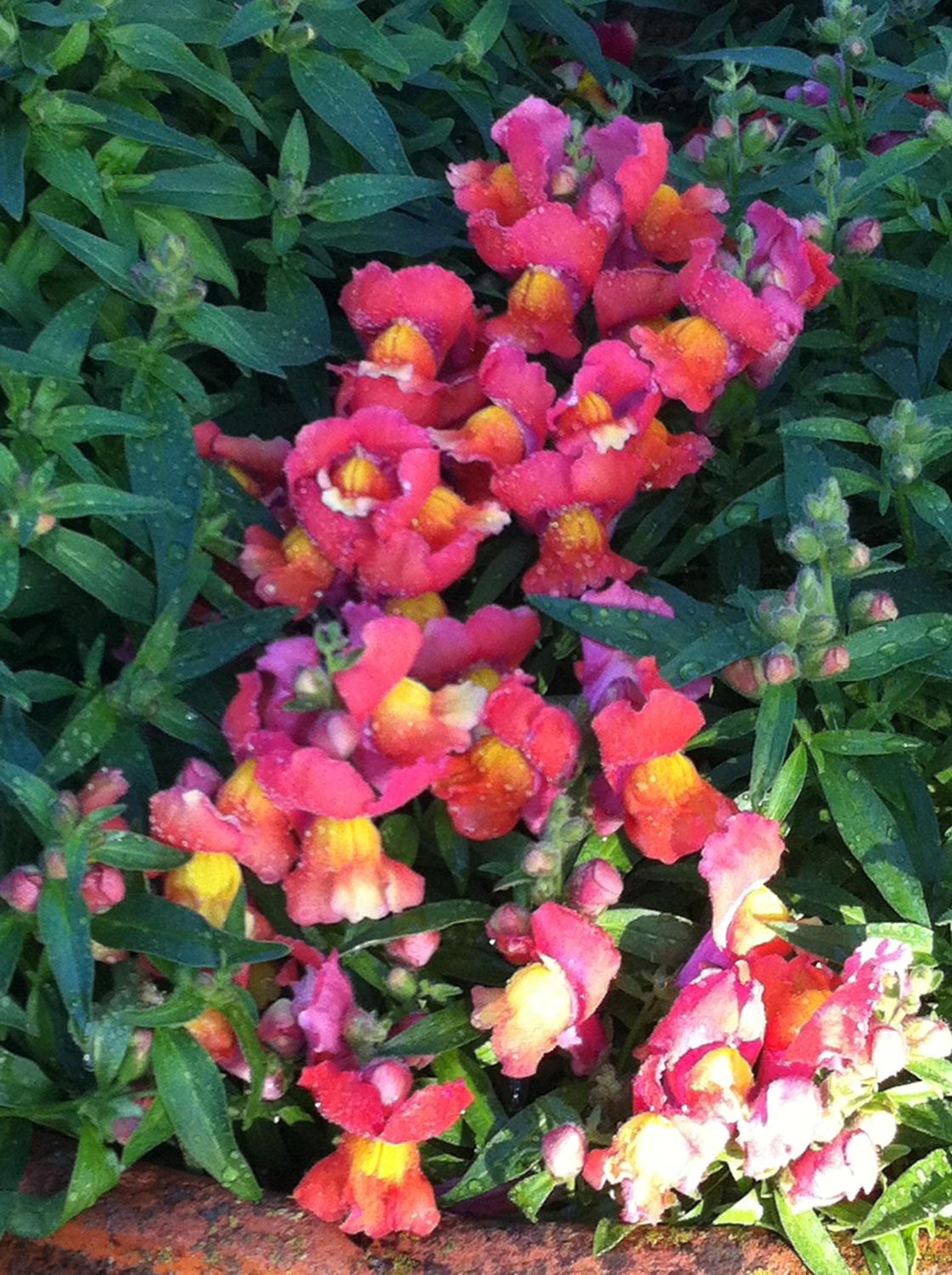 Photo 37