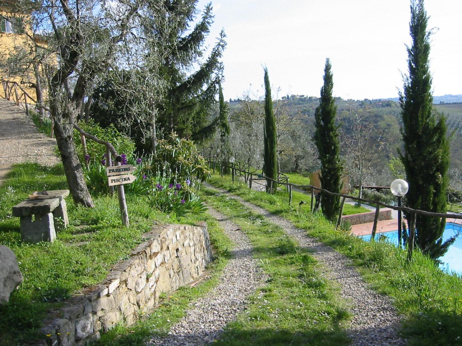 Photo 43