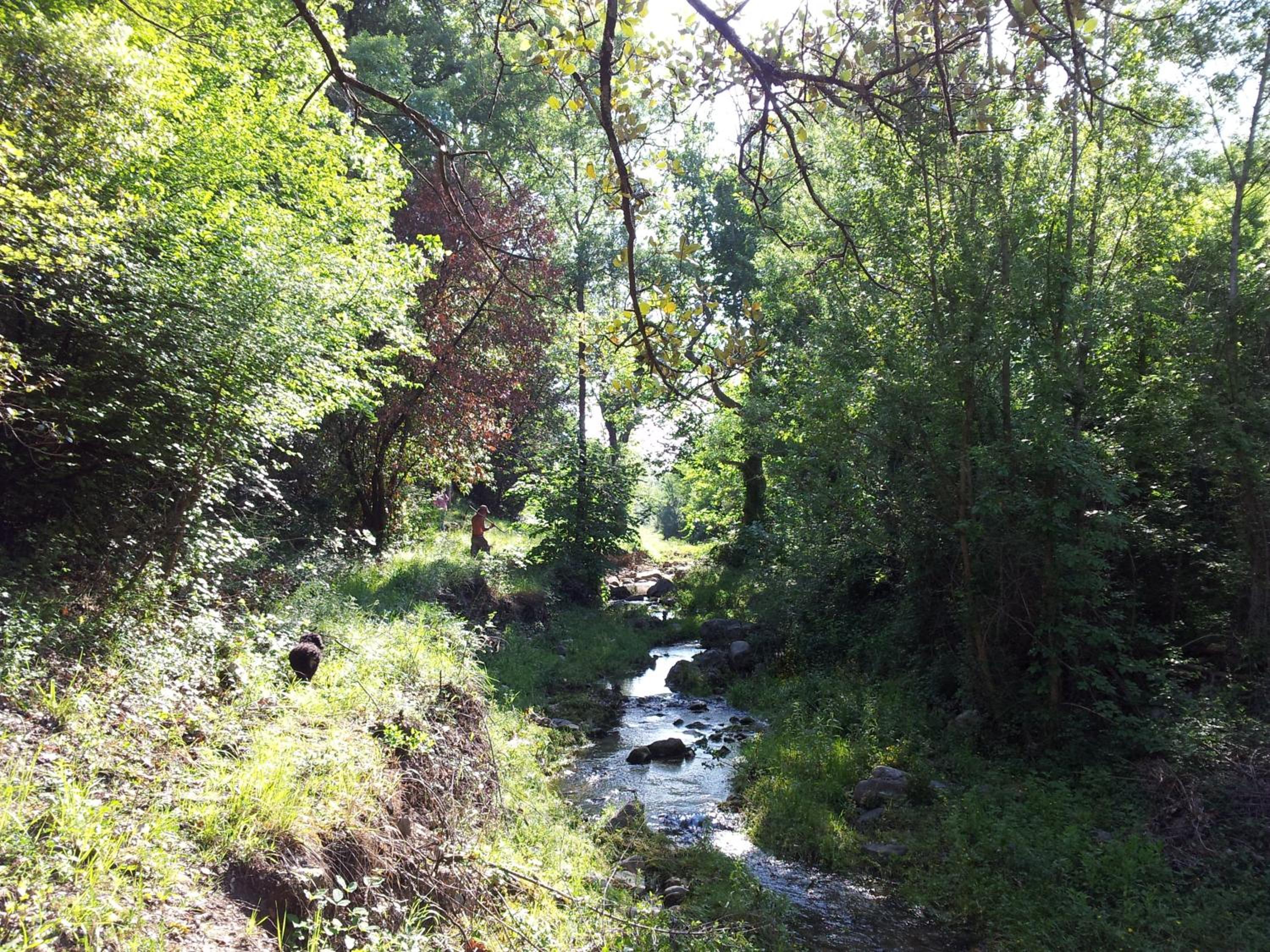 Domaine de Rochebelle