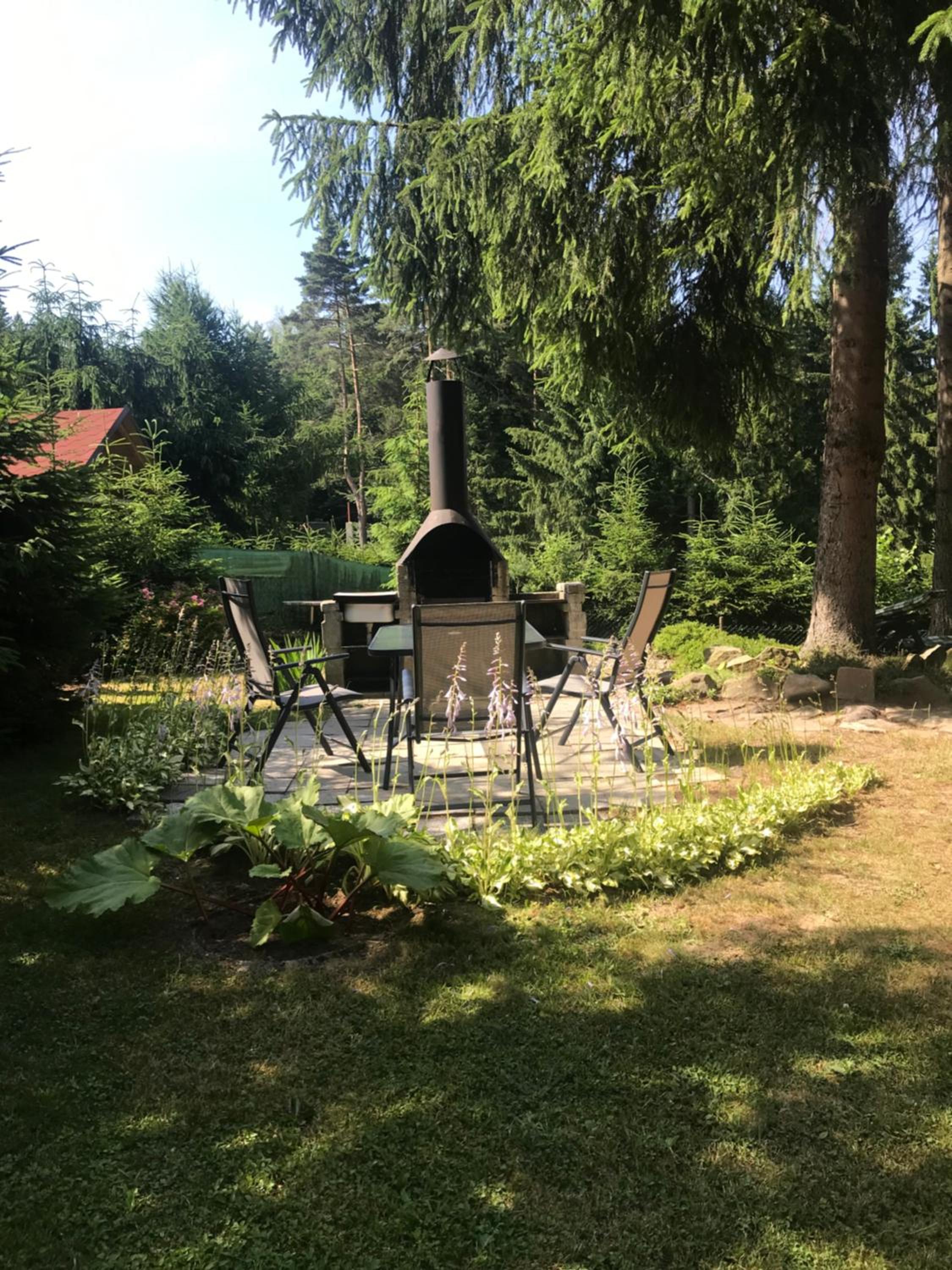 Photo 19