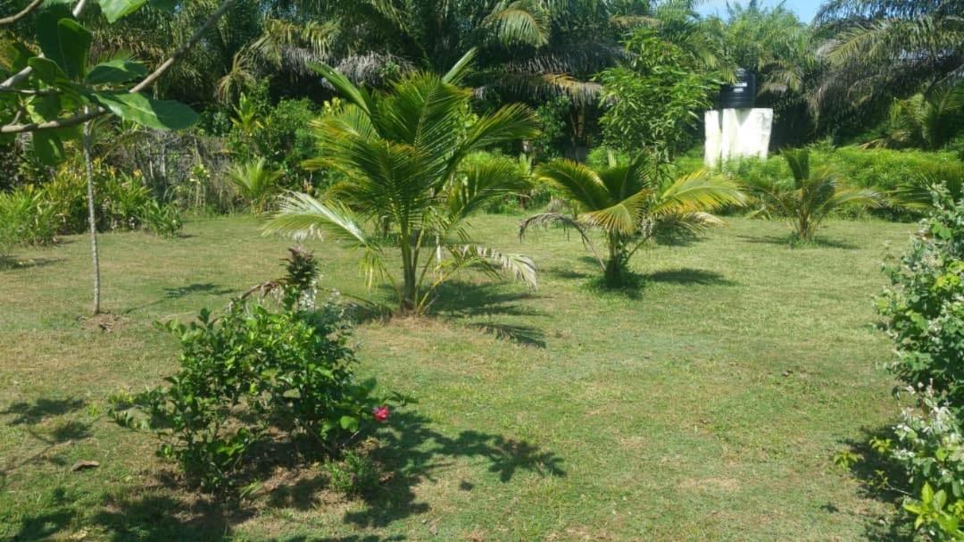 Green Zion Garden view 3