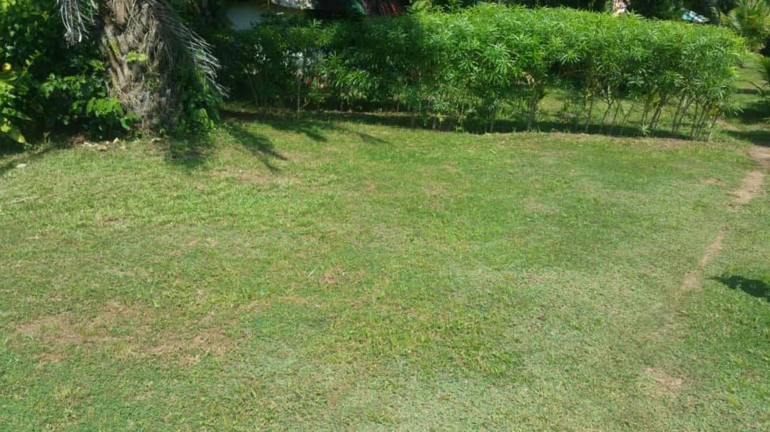 Green Zion Garden view 5