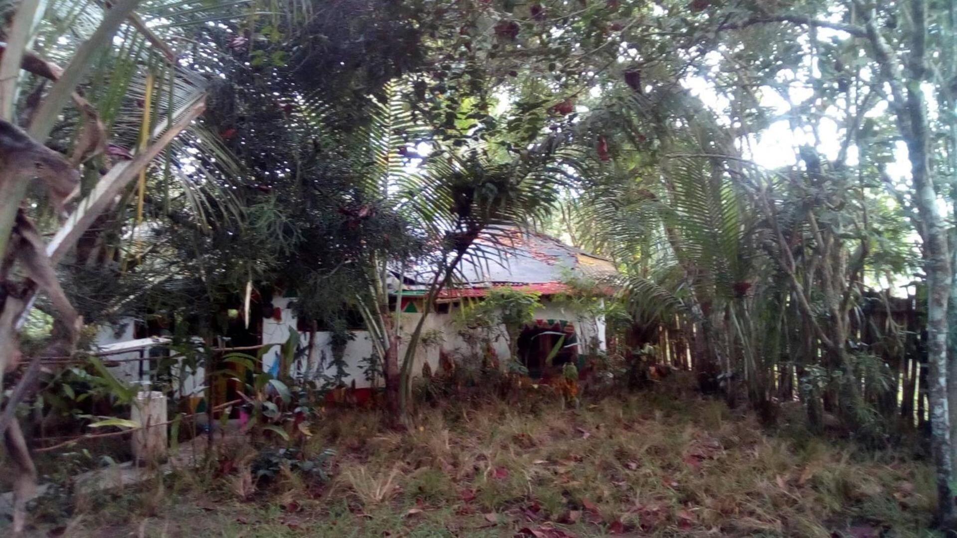 Photo 25