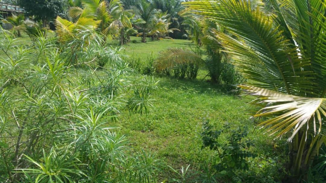 Photo 28