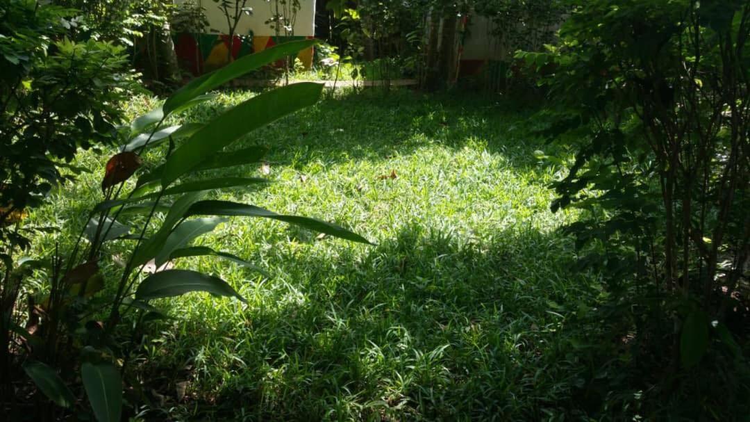 Photo 42