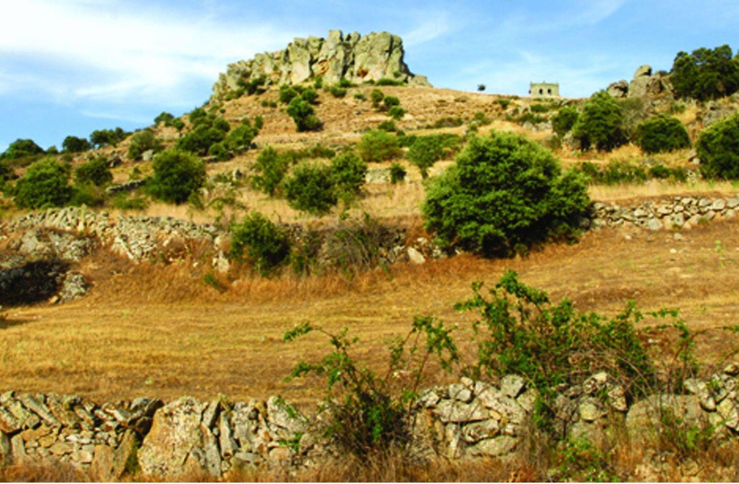 La Becera