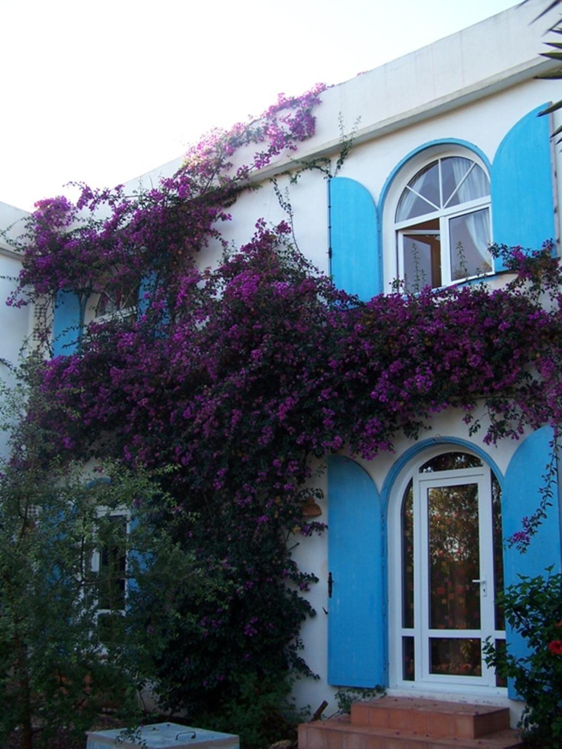 Villa Daba By Zelia