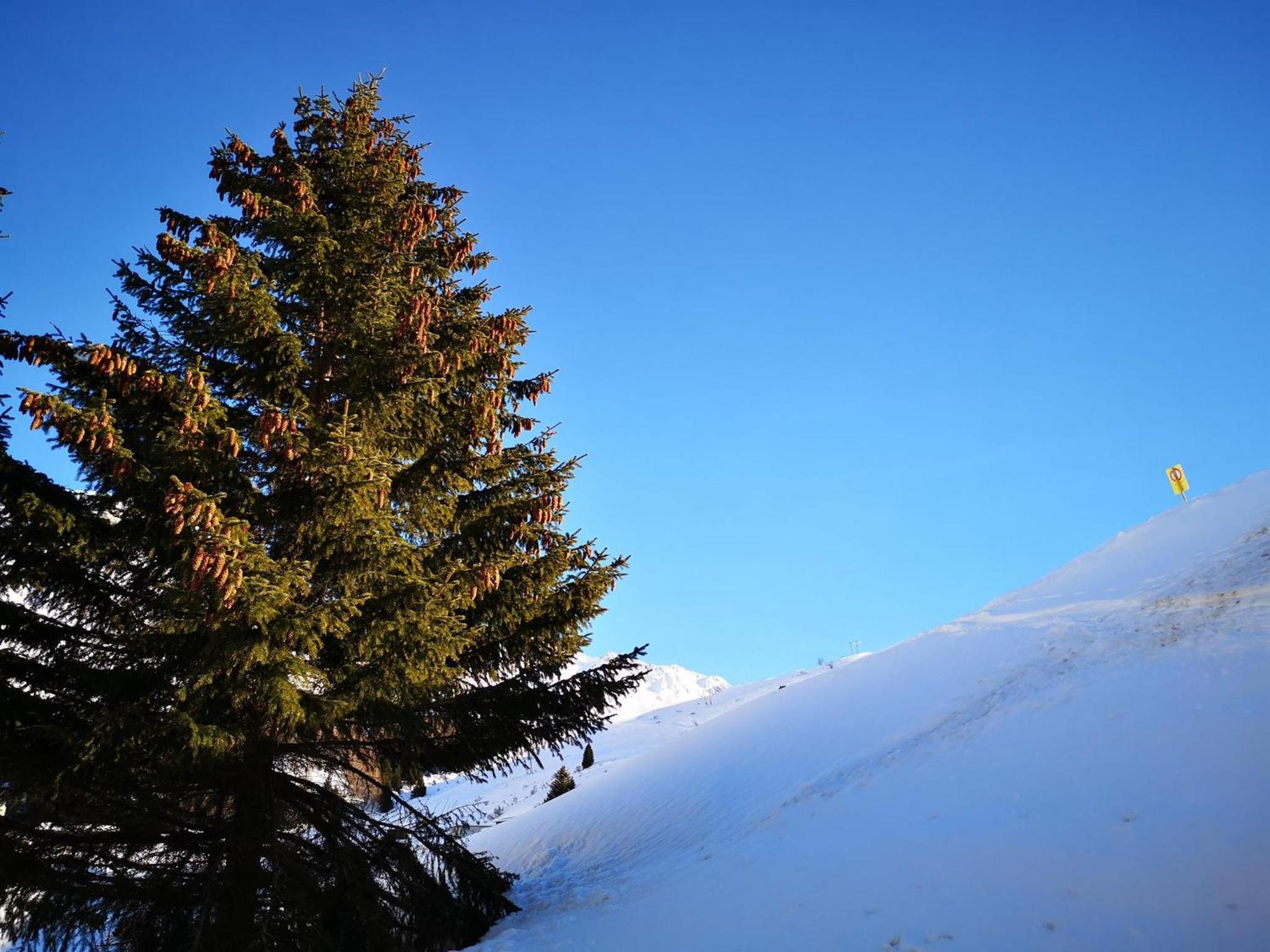 Curtinfess Rezzonico view 5