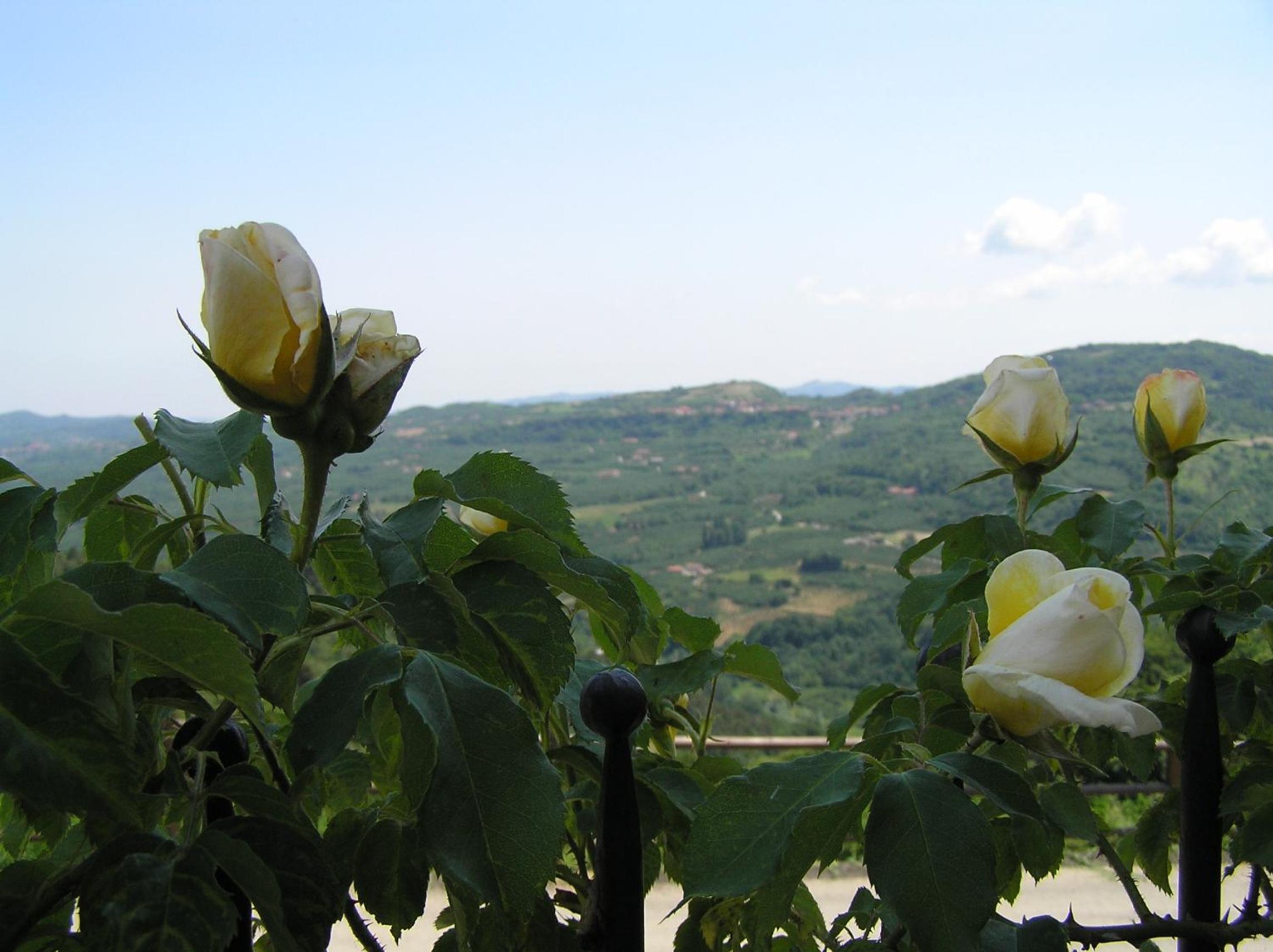 Agriturismo La Cascina view 3
