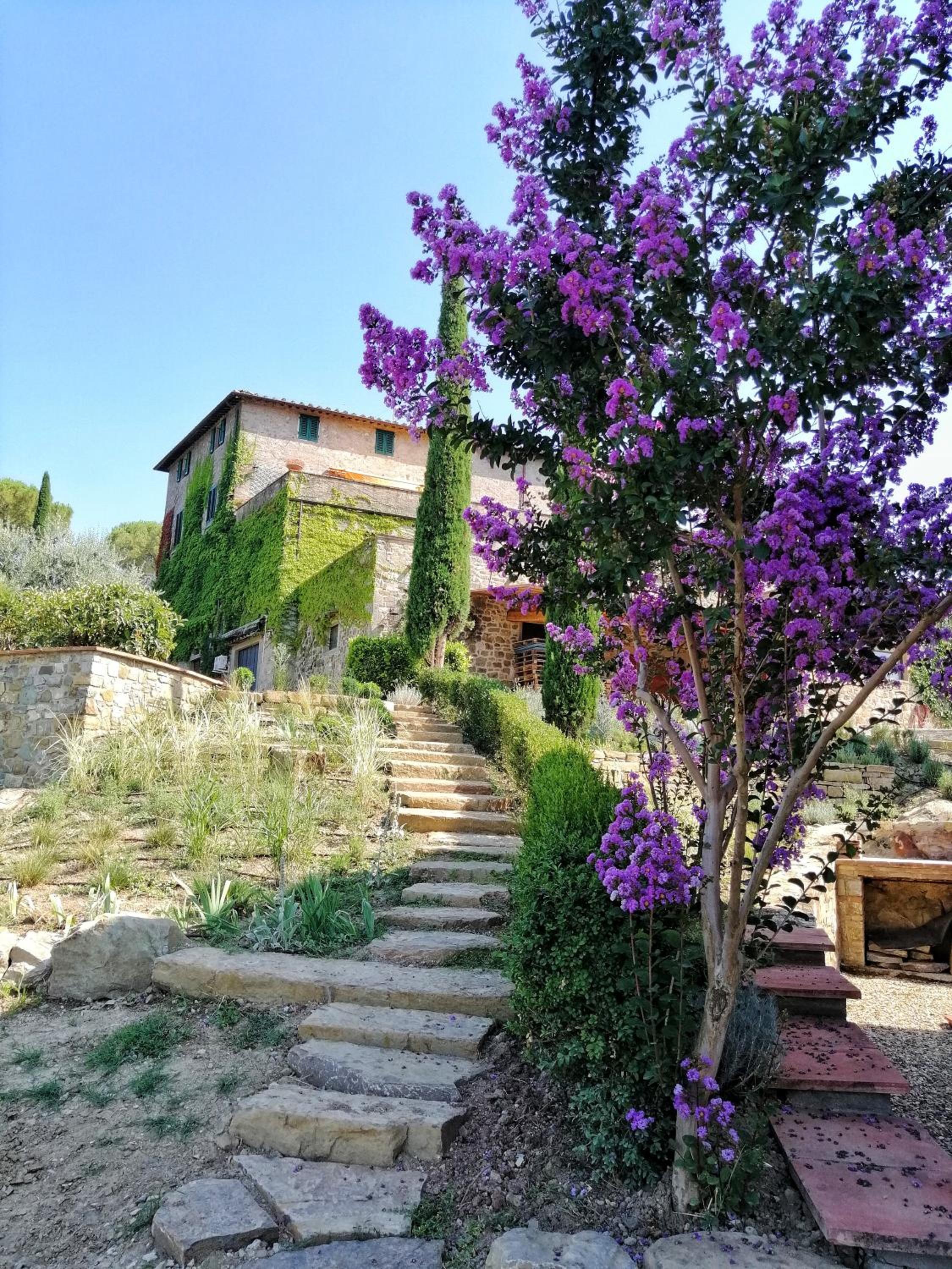 Savignola Paolina