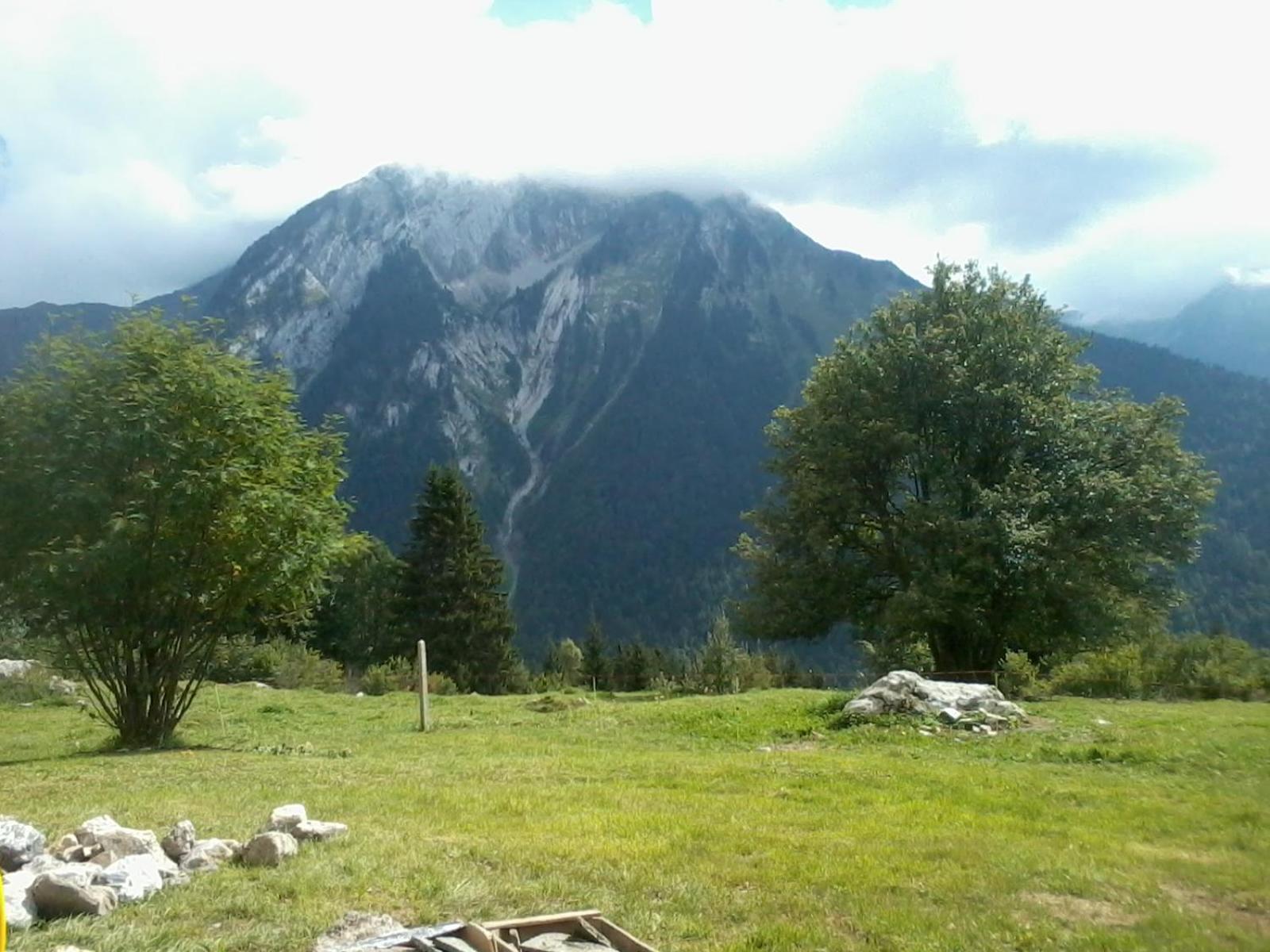 Photo 38