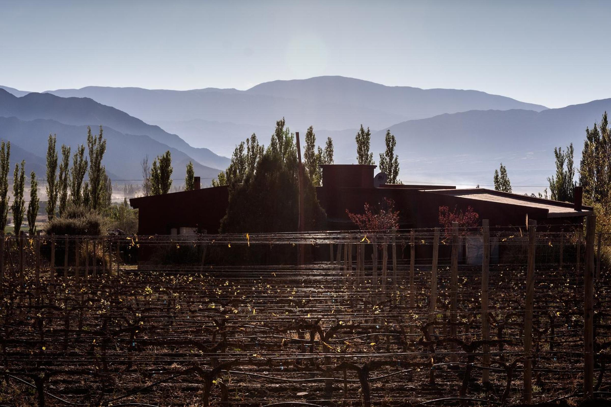 Miraluna Bodega Boutique