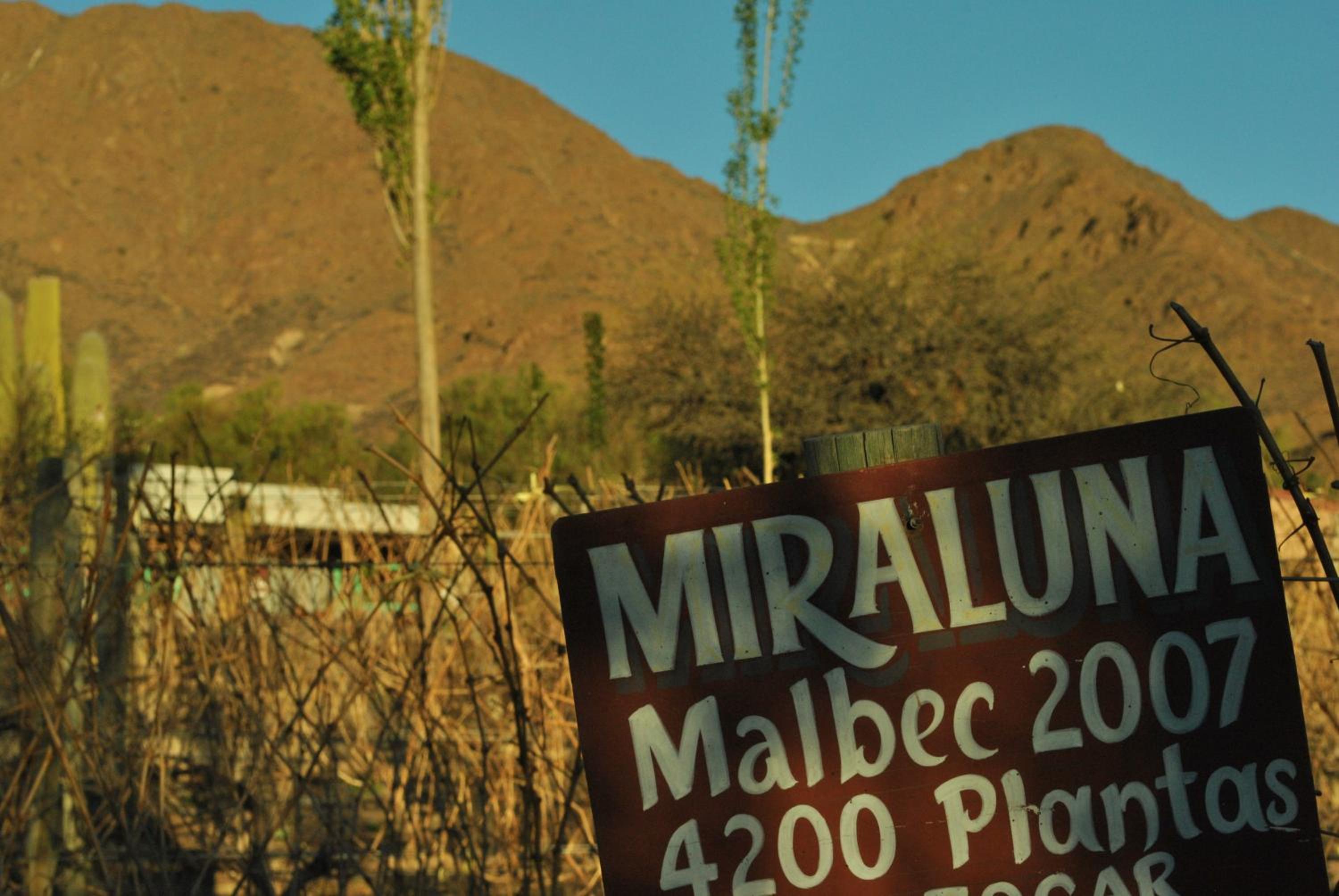 Miraluna Bodega Boutique