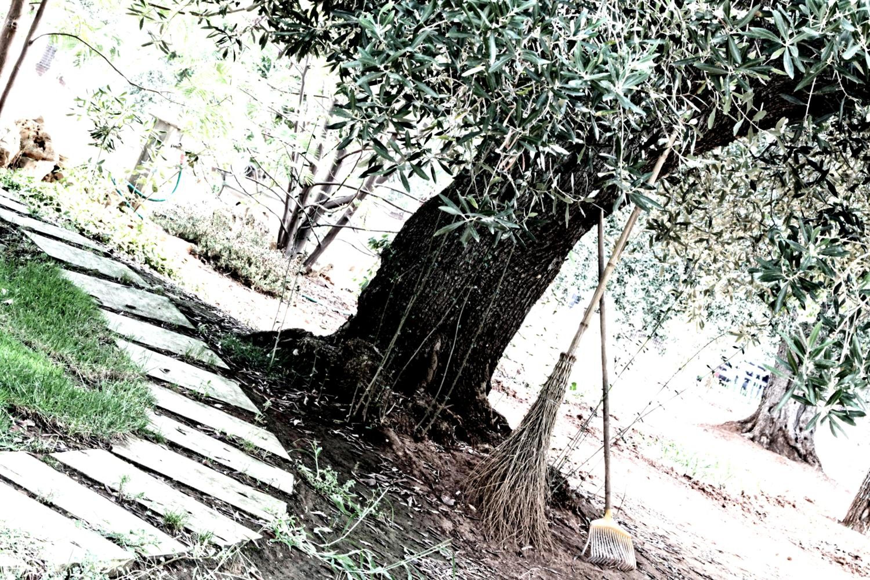 Villa Ghetta Country House