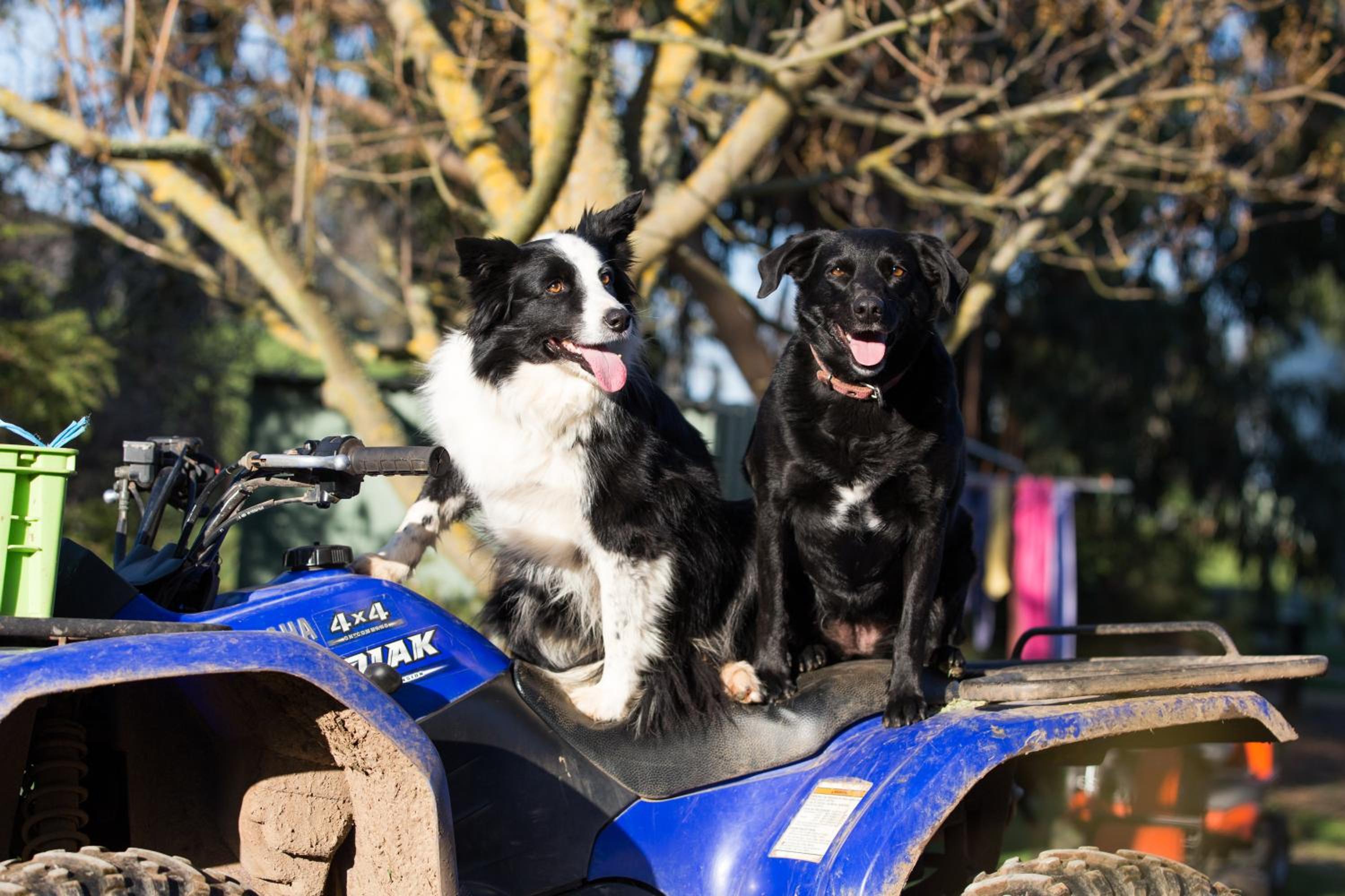 Fellcroft Farmstay