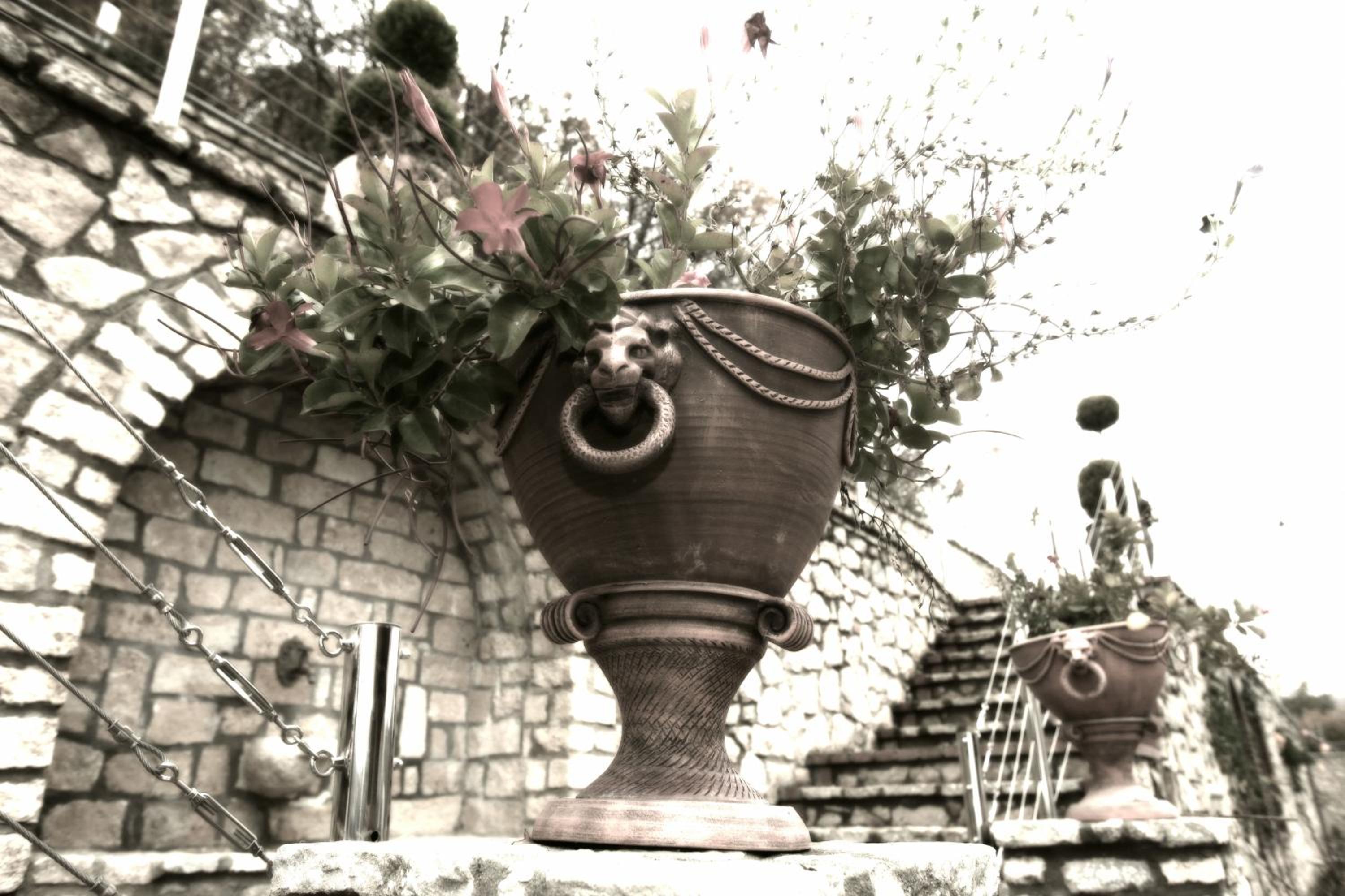 Afkos Grammos Boutique Hotel Resort