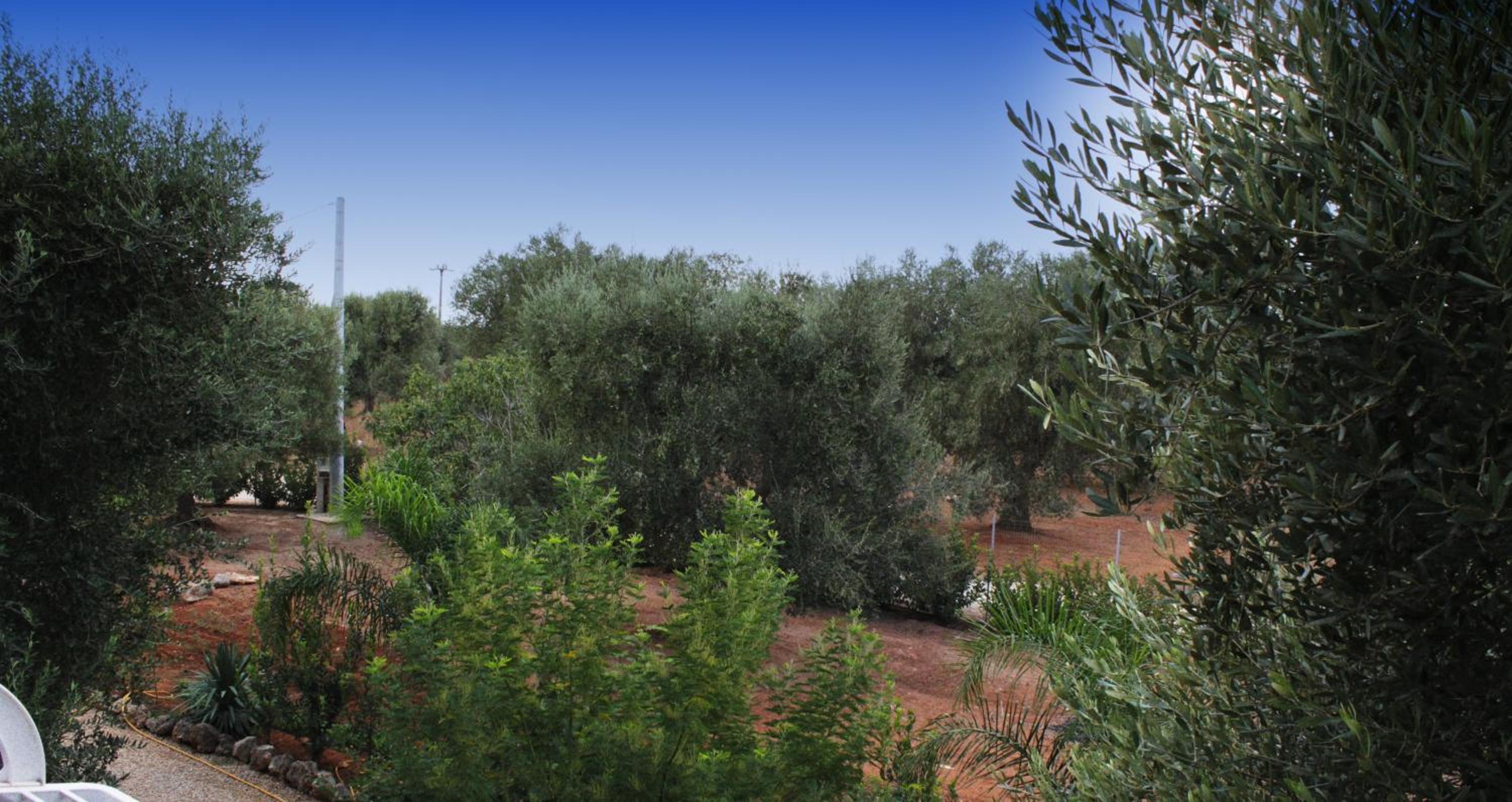 Villa Ghetta Country House