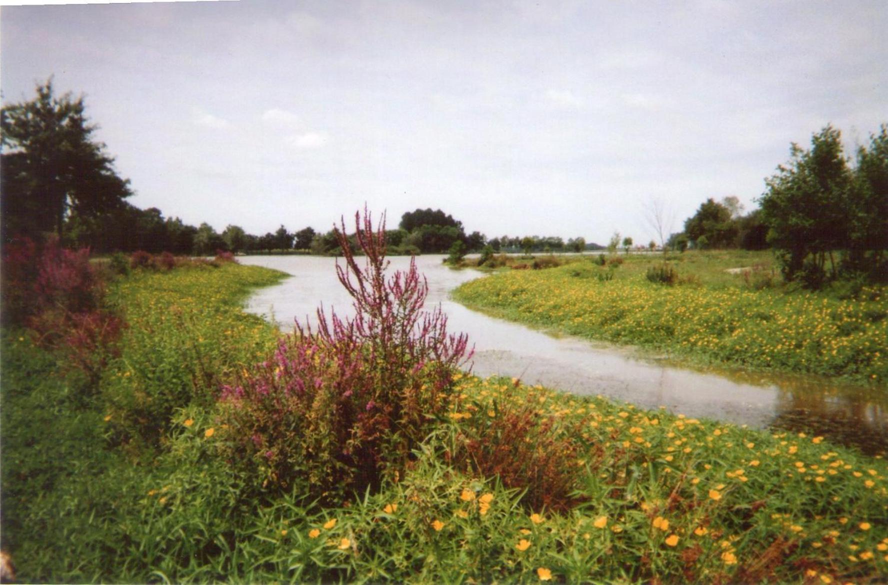 Photo 24
