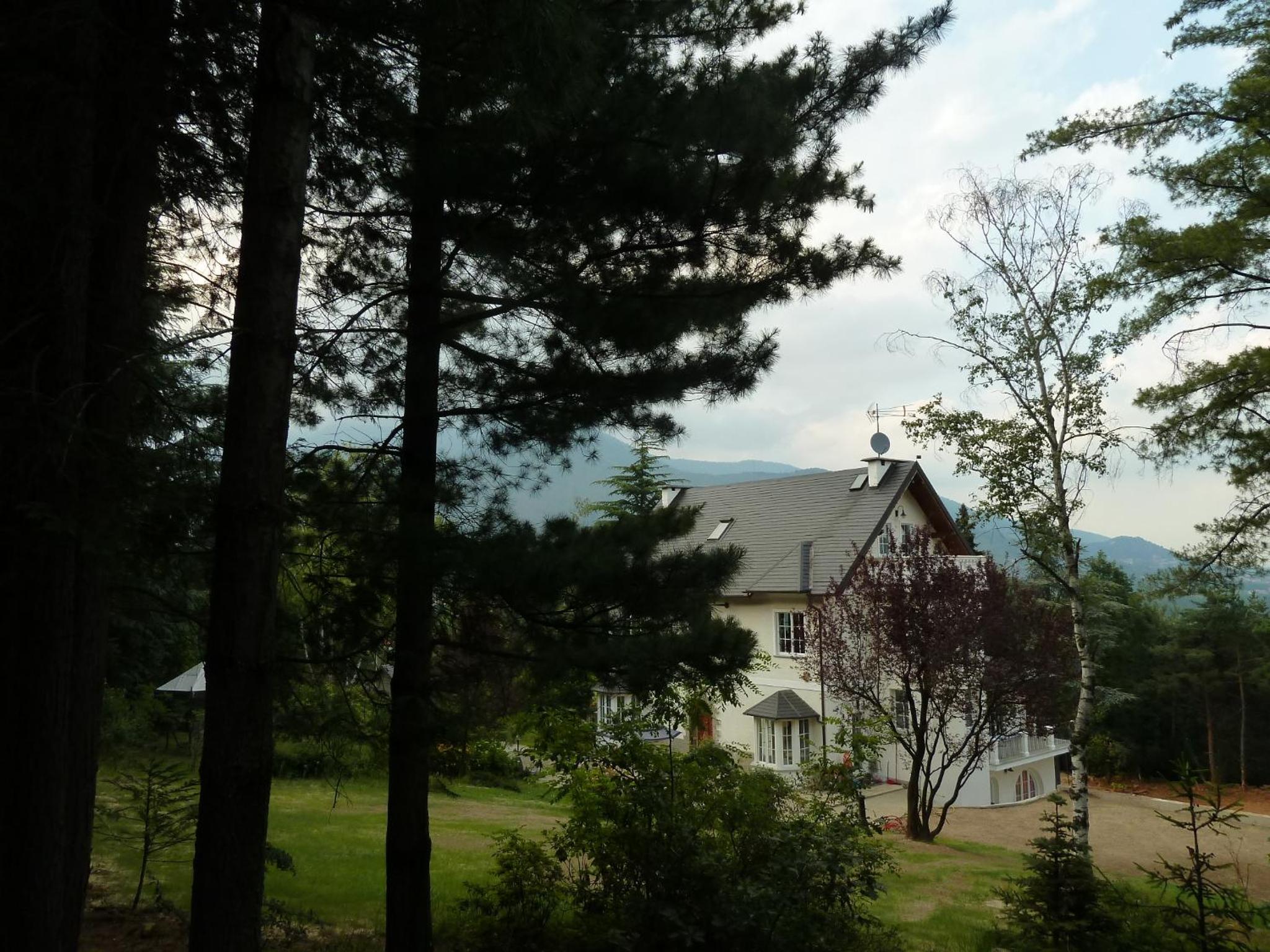 Photo 8