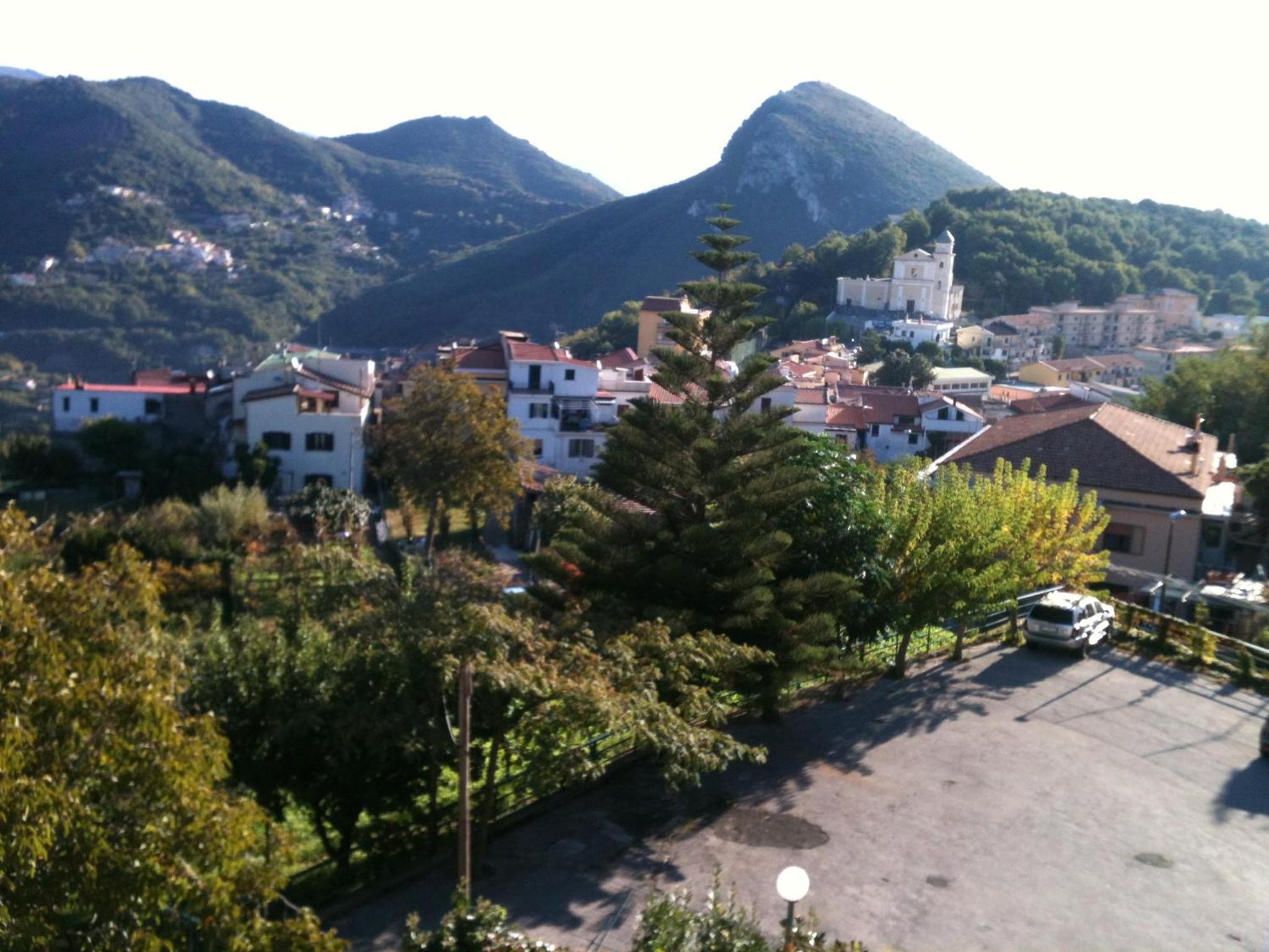 Photo 52