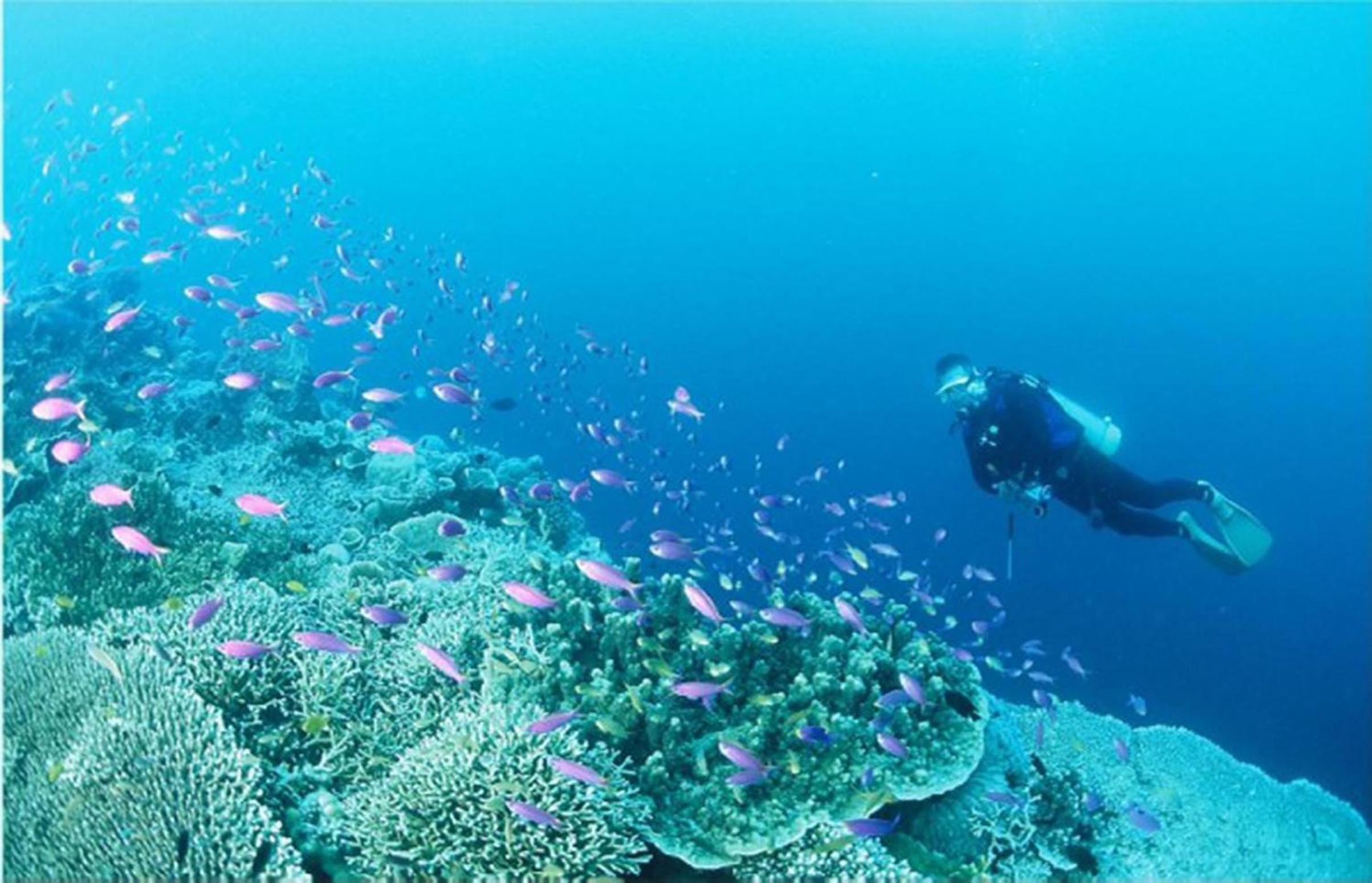Badian Island Wellness Resort