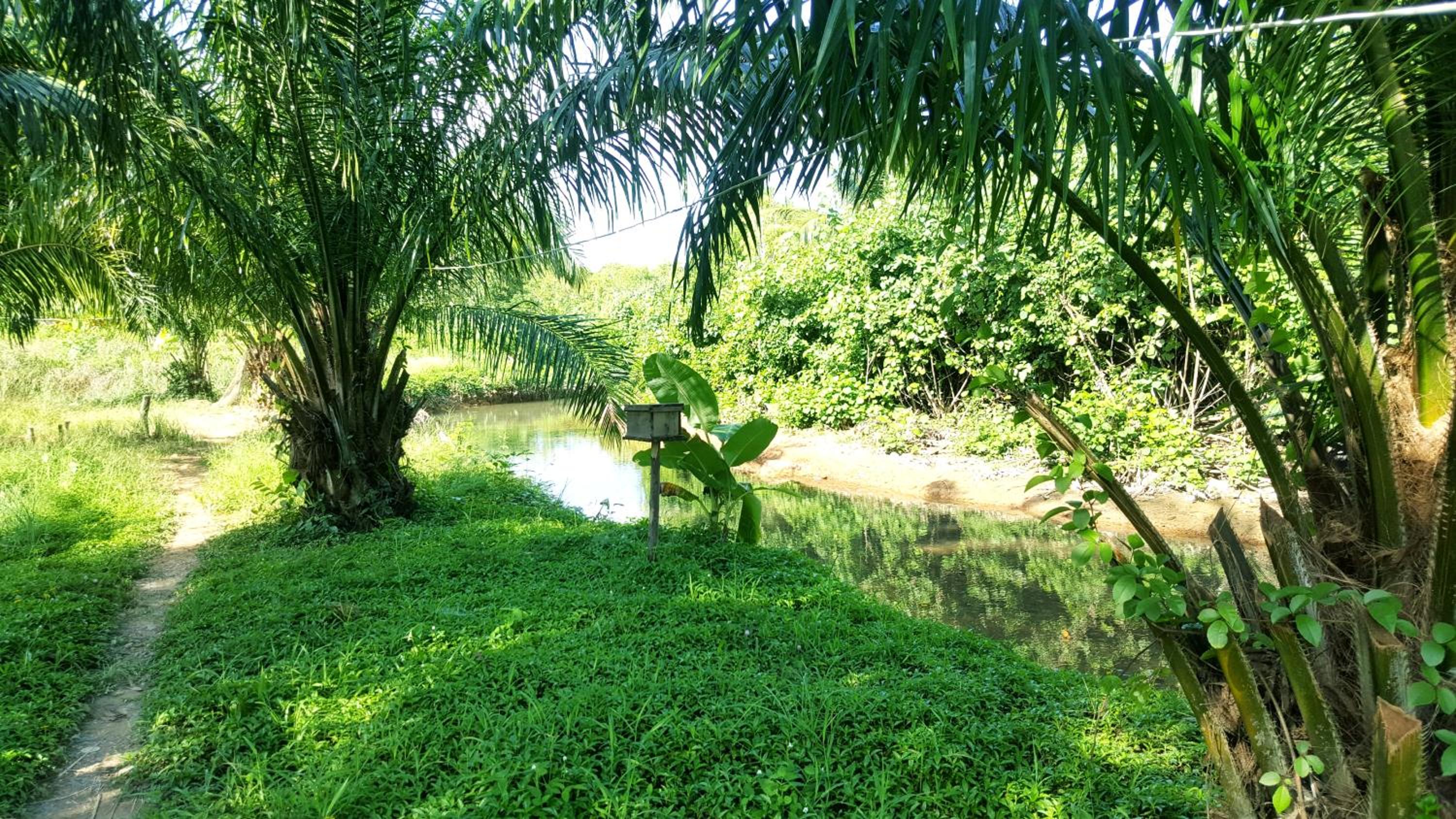 Photo 19