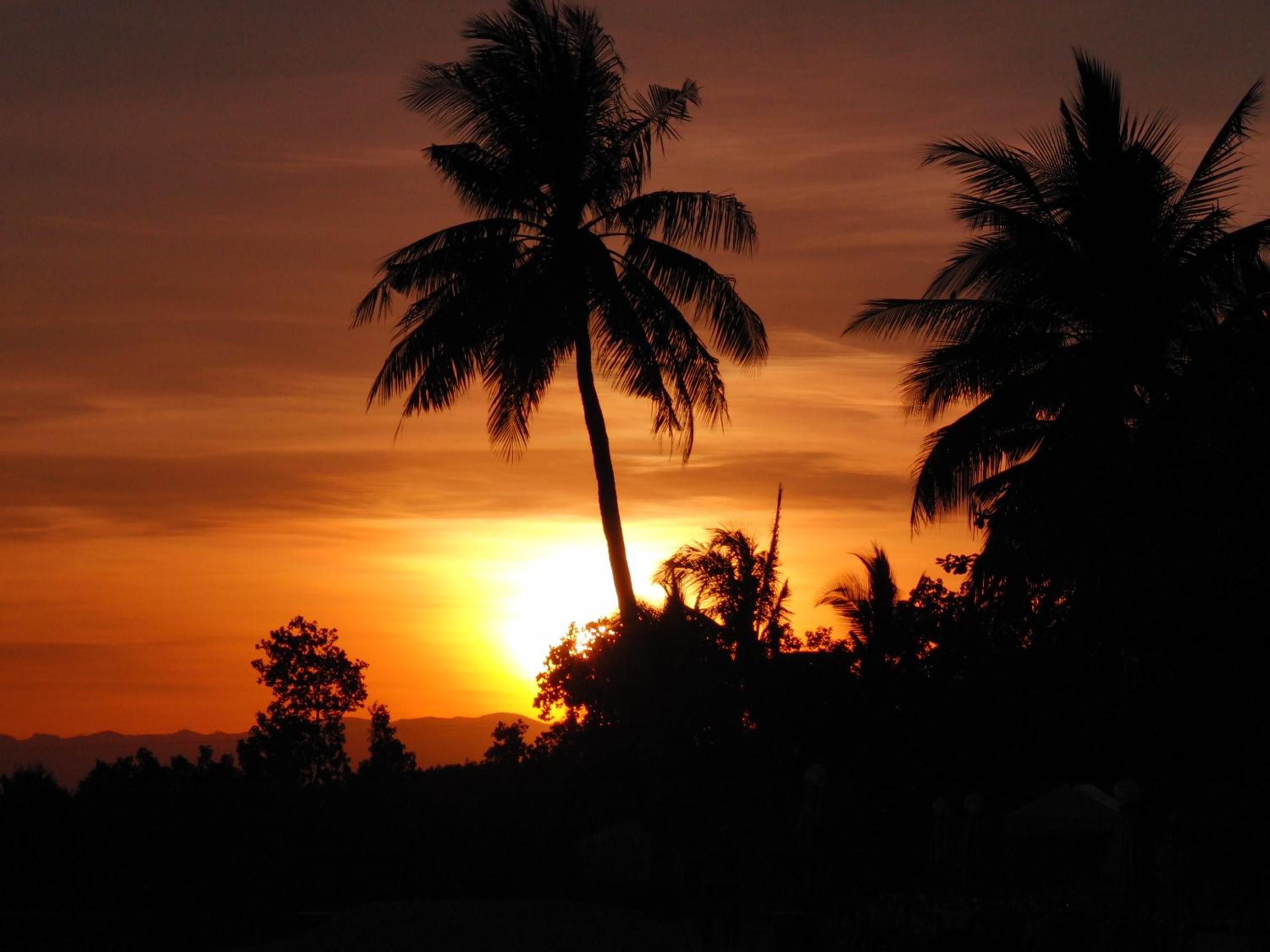 Badian Island Wellness Resort
